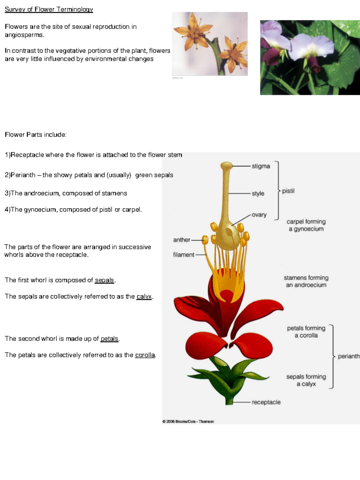 Flower parts - ... - Flower Parts include: Survey of Flower Terminology ...