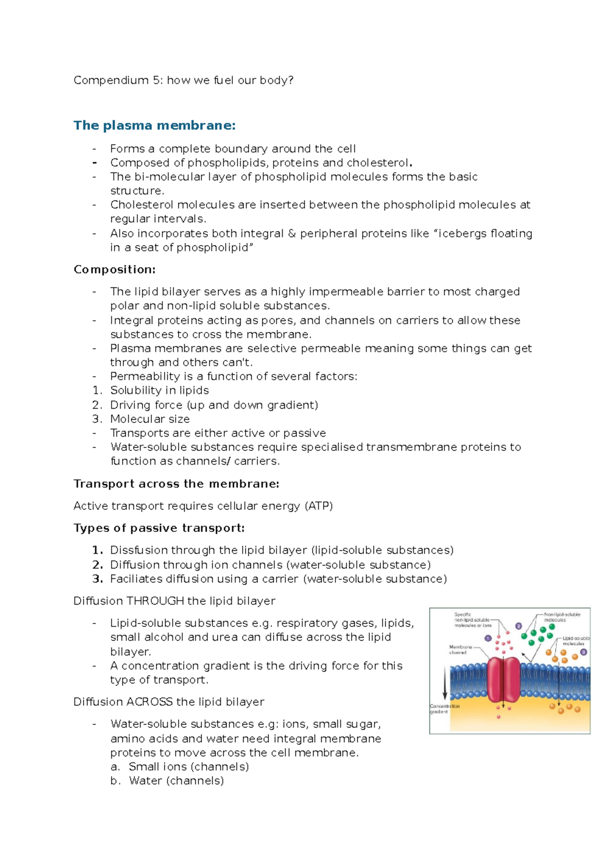 Compendium 5: Notes on Plasma Membrane & Glycolysis Mechanisms - Studocu