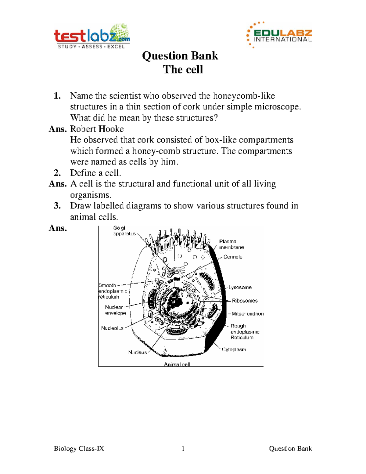 Cell Biology Q&A - Concepts and Theories (5 16 58 616) - Studocu