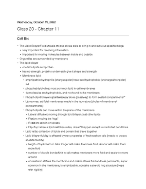 CHAPTER 7: From DNA to Protein - Understanding Gene Expression (ECB4 ...