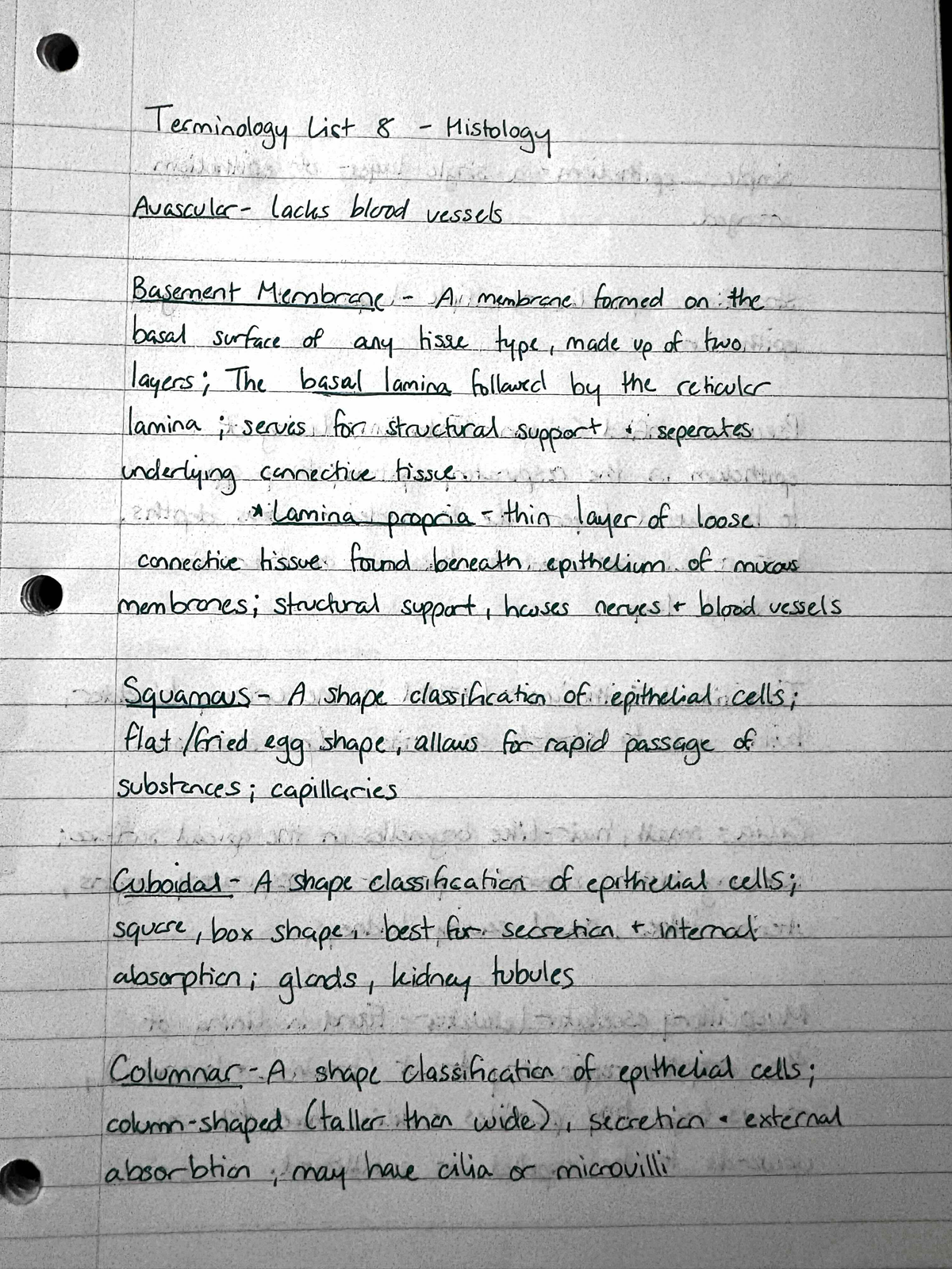 Final Exam Review Notes for Course XYZ 101: Histology Terminology - Studocu