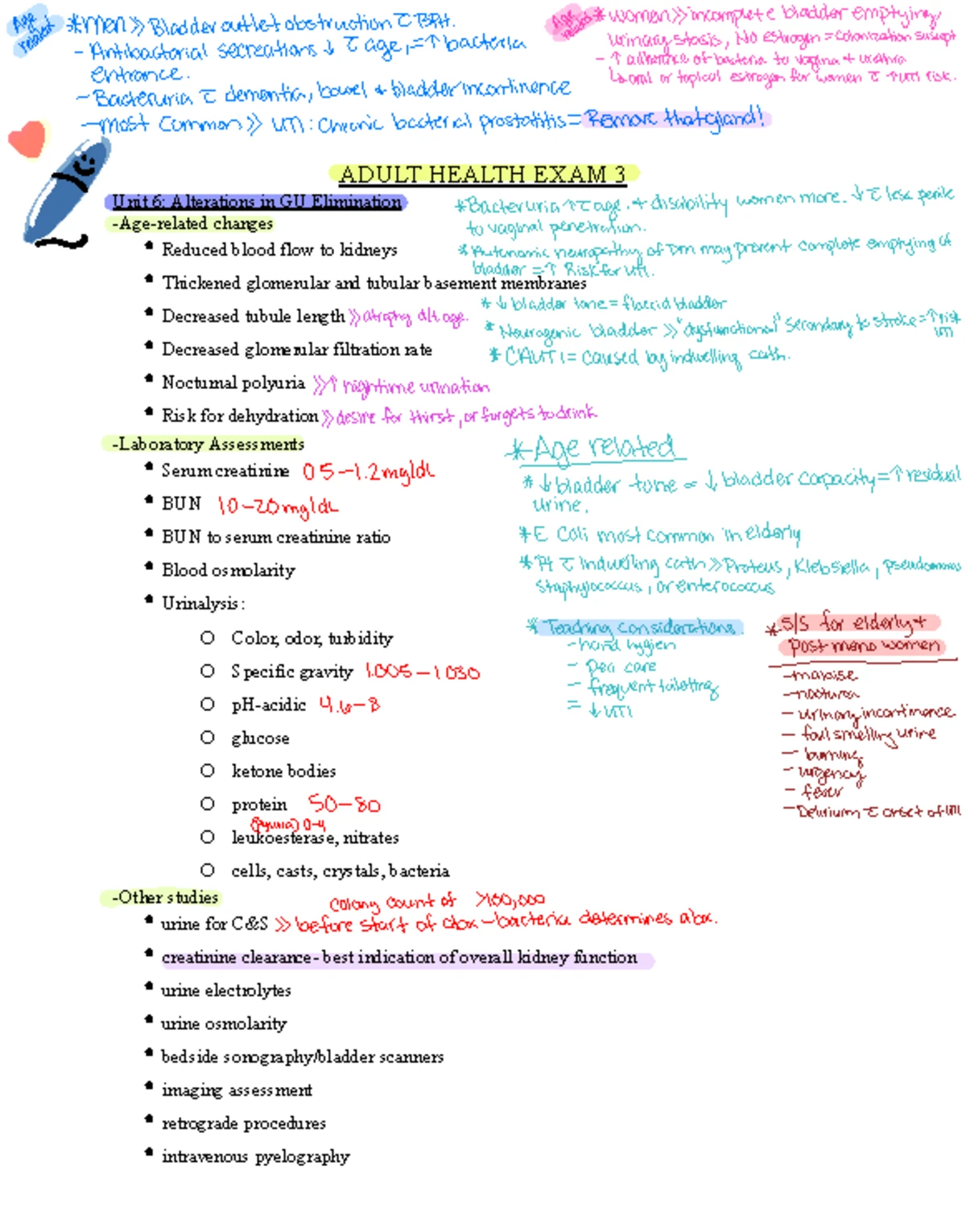 Exam 1 ZOOM Review: Anemias in Adult Health II - Studocu