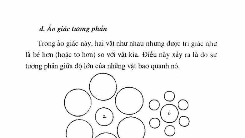 So sánh giữa Cảm giác và Tri giác trong Nhận thức Cảm tính - Studocu