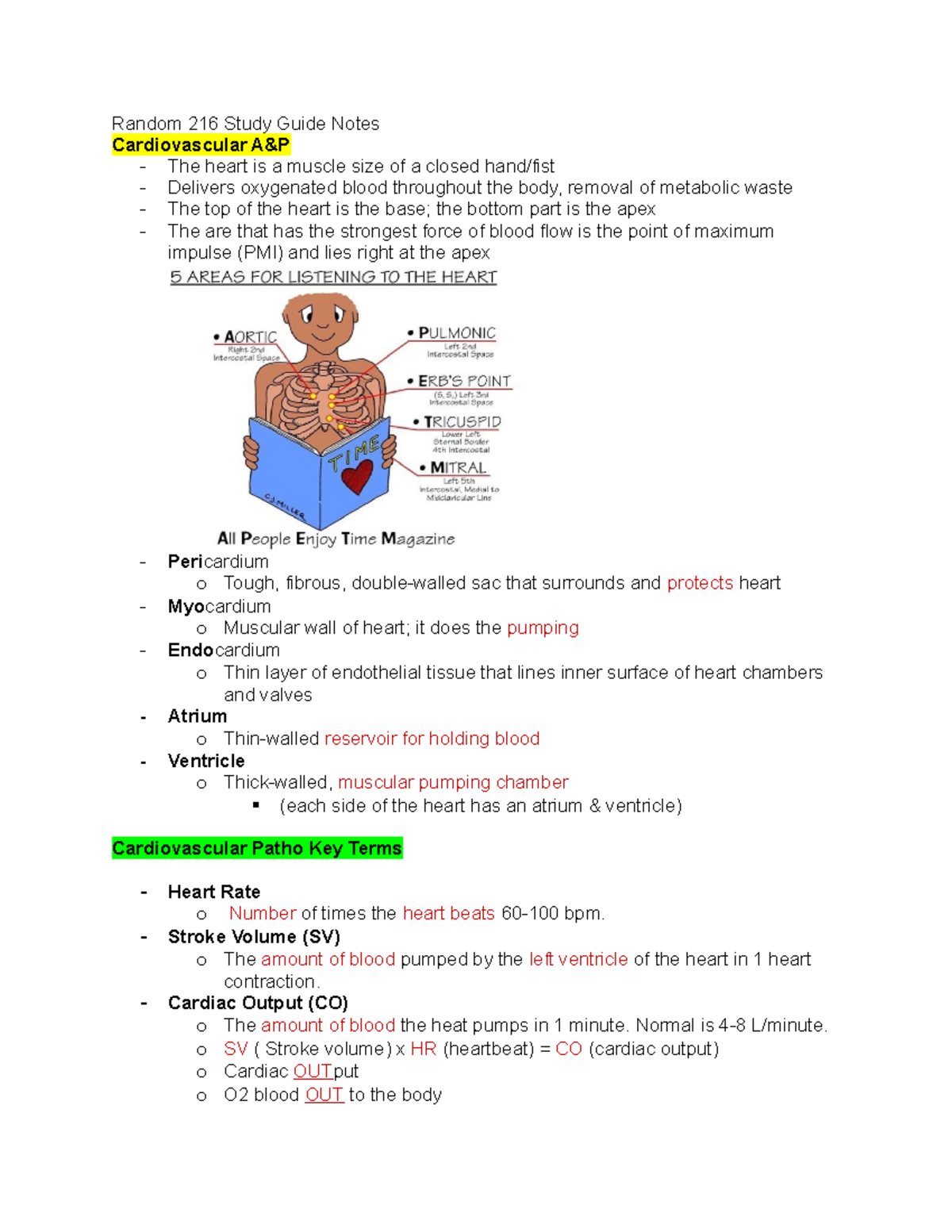 Exam 3 216 Study Guide: Cardiovascular Anatomy & Physiology Notes - Studocu