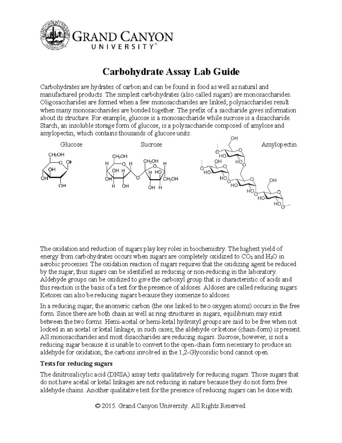 CHM 360L RS T8 Carbohydrate Assay Lab Procedures and Guide - Studocu
