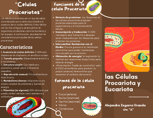 Formato De Investigacion Monografica Temas Para Investigar Tema