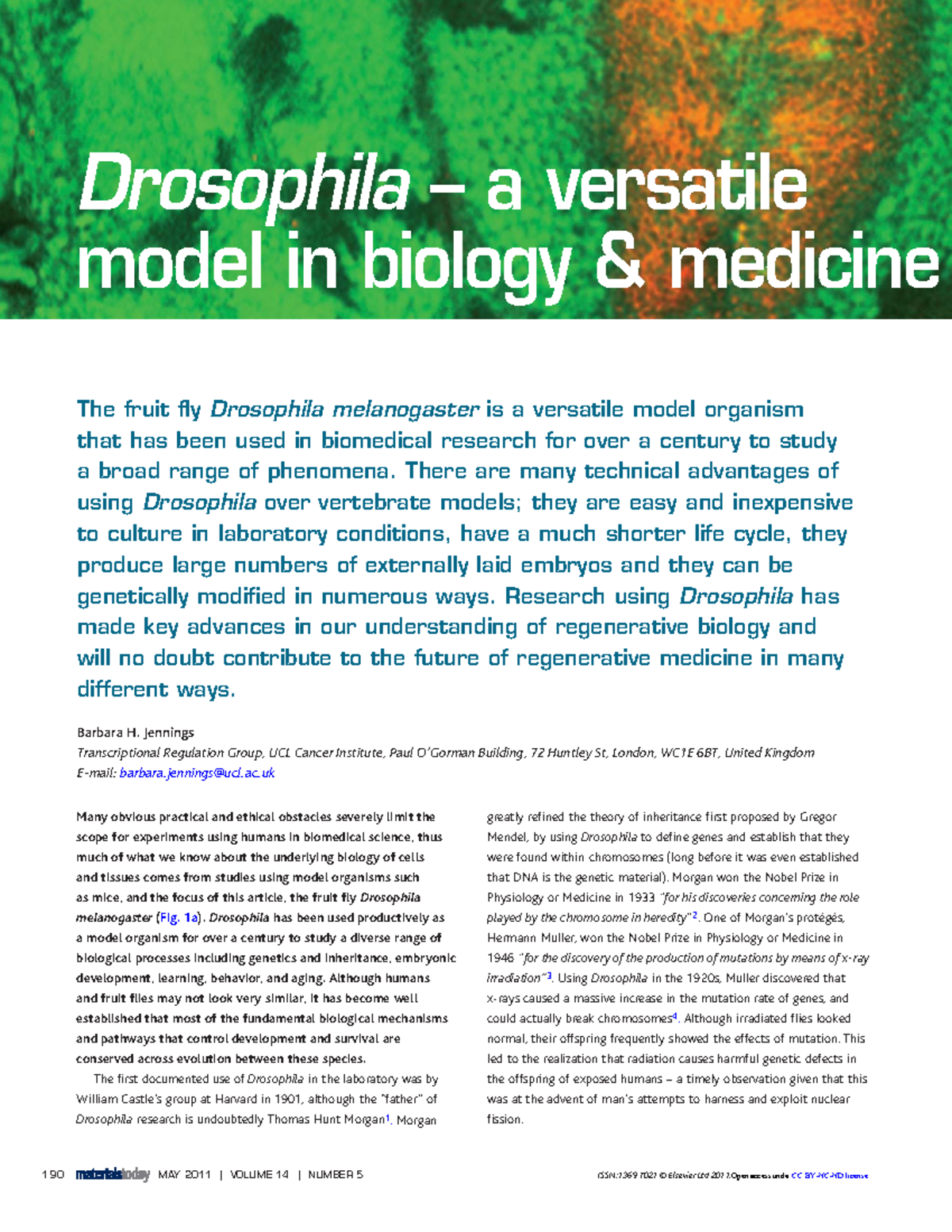 Drosophila Melanogaster: A Key Model in Biology & Medicine (MOD 1 ...