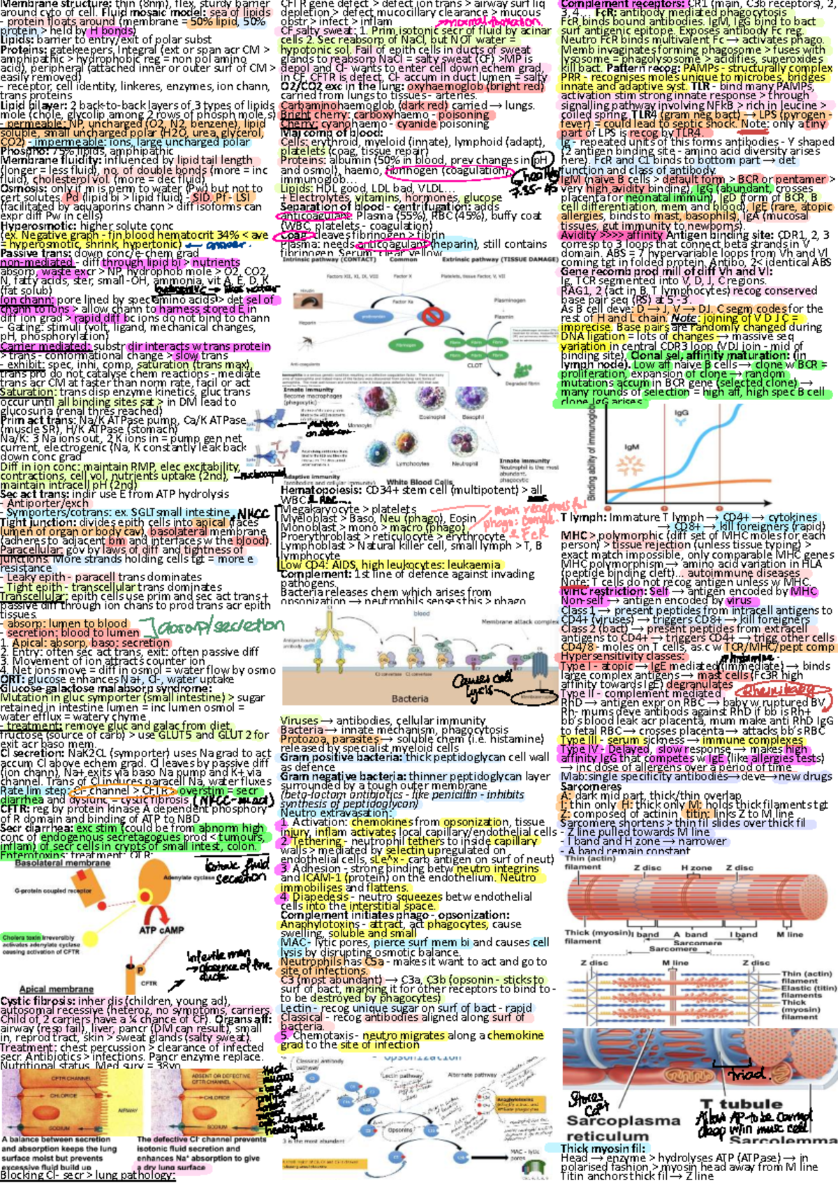 Biosci 101 Final Exam Summary: Membrane Structure & CFTR Defects - Studocu
