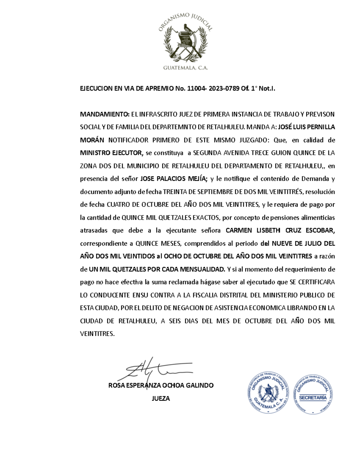 Mandamiento de Ejecución No. 1100-2023 para Pago de Alimentos - Document Preview