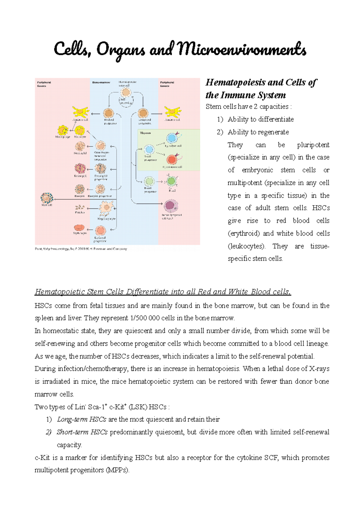 Immunology - Chapter 2: Overview of Immune System Cells and Organs ...