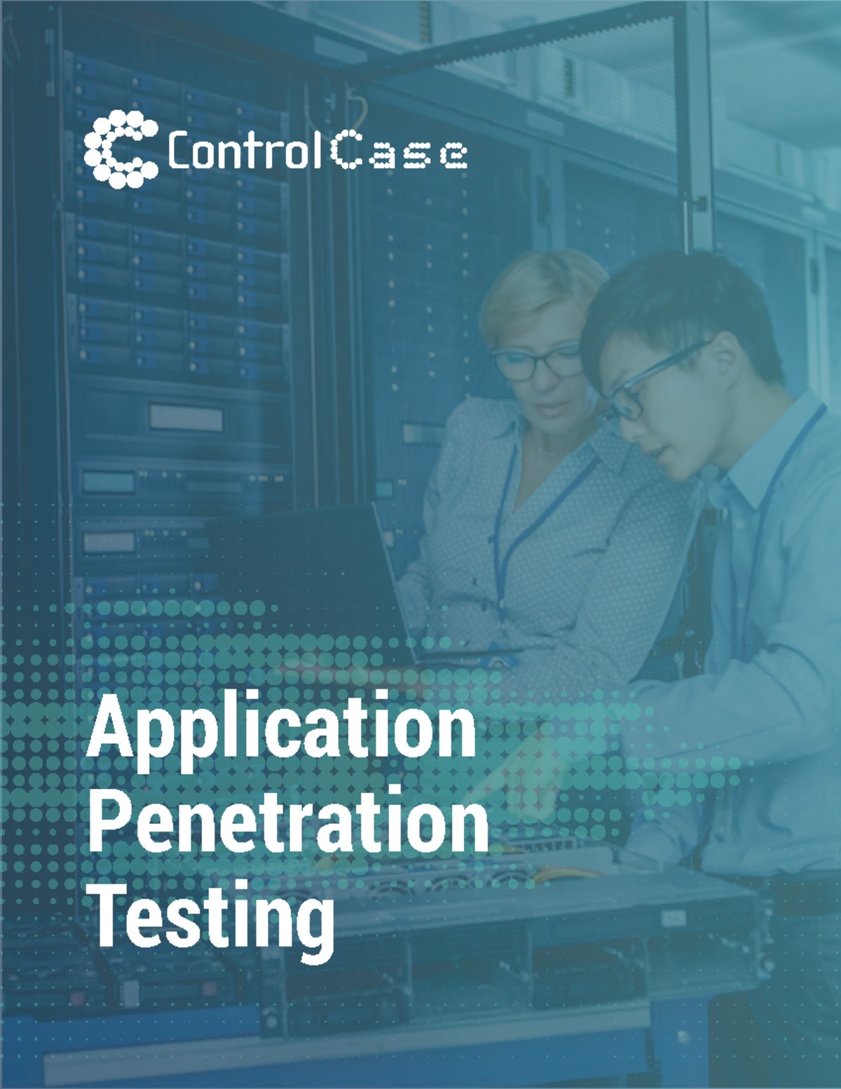 Application Penetration Testing Datasheet - Application Penetration ...