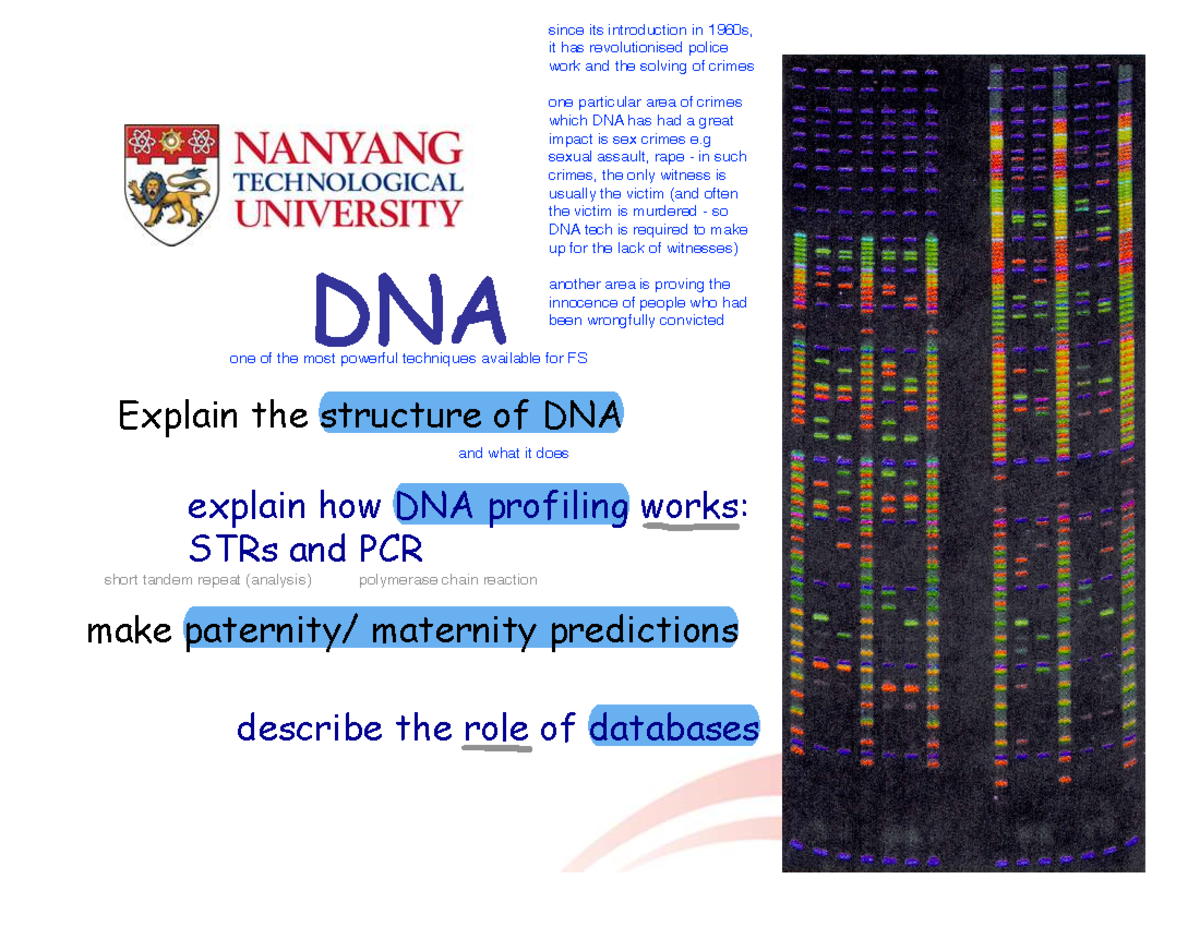 5 - DNA (with annotations) - Explain the structure of DNA explain how ...