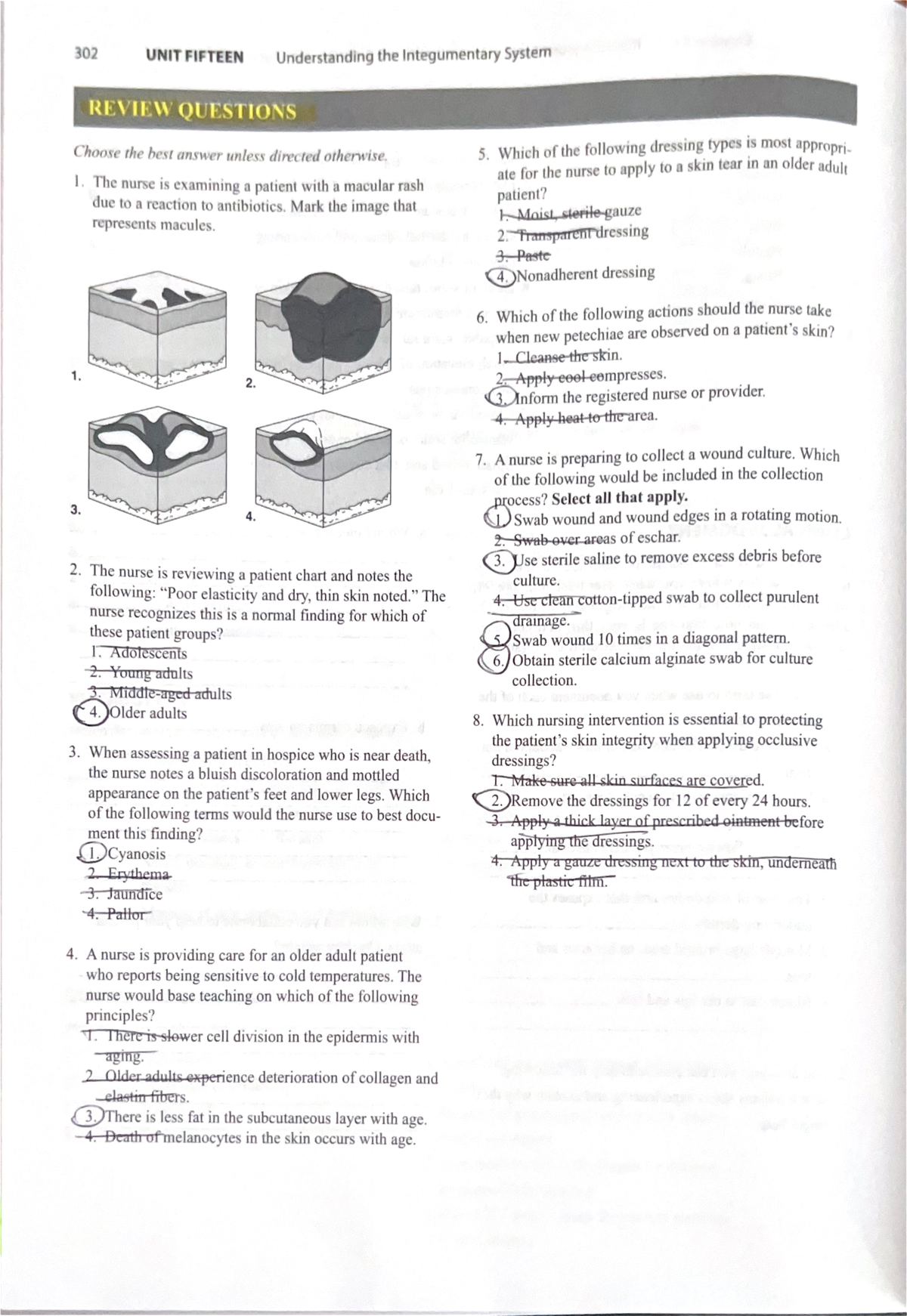 Ch 53 Study Guide: Understanding the Integumentary System - Studocu