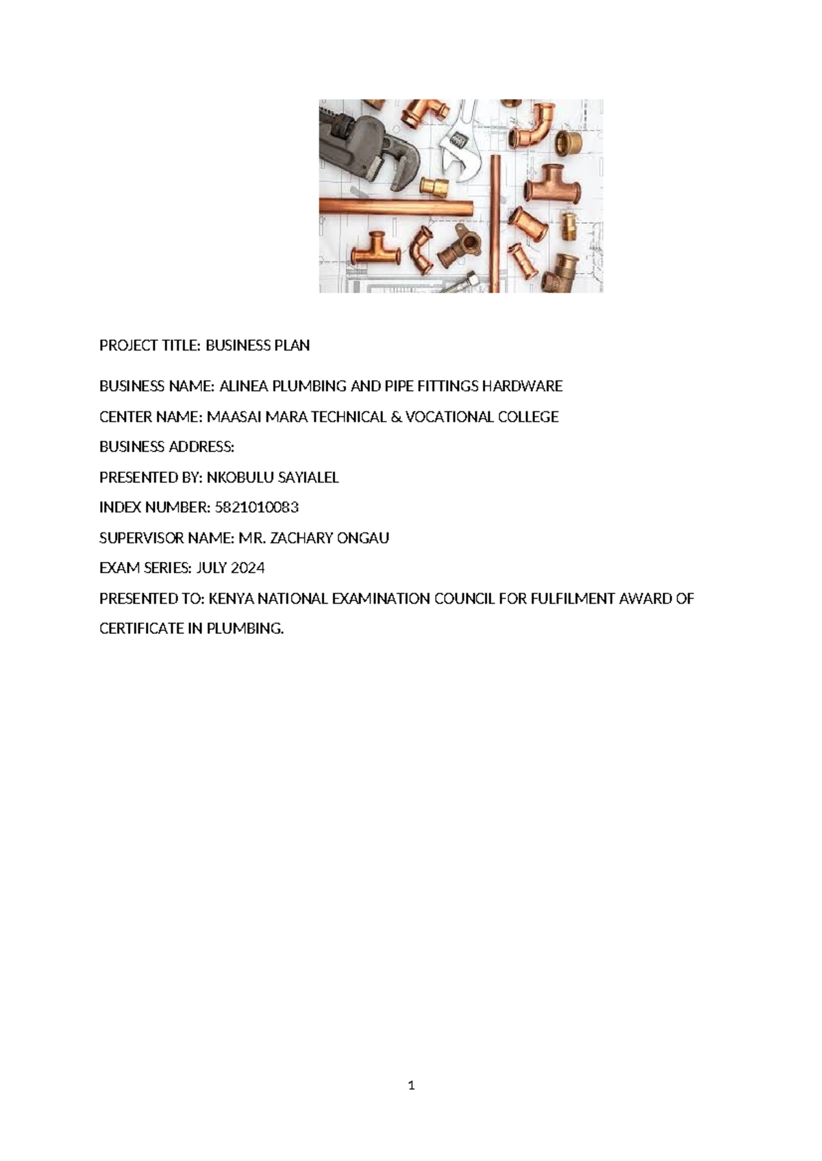 **Plumbing Business Plan for Alinea Hardware - Project Submission