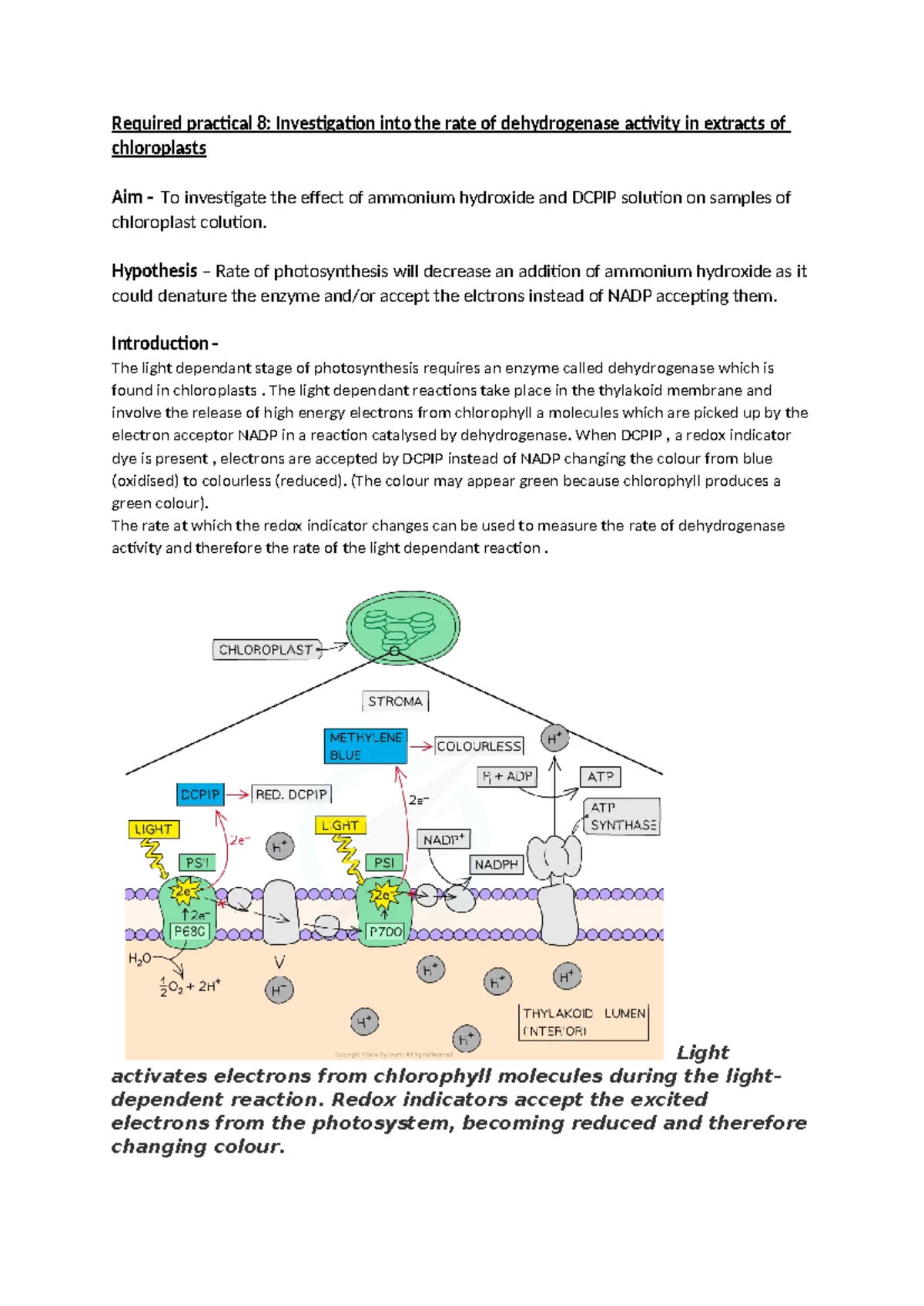 atherosclerosis-causes-stages-and-overview-of-the-disease-studocu
