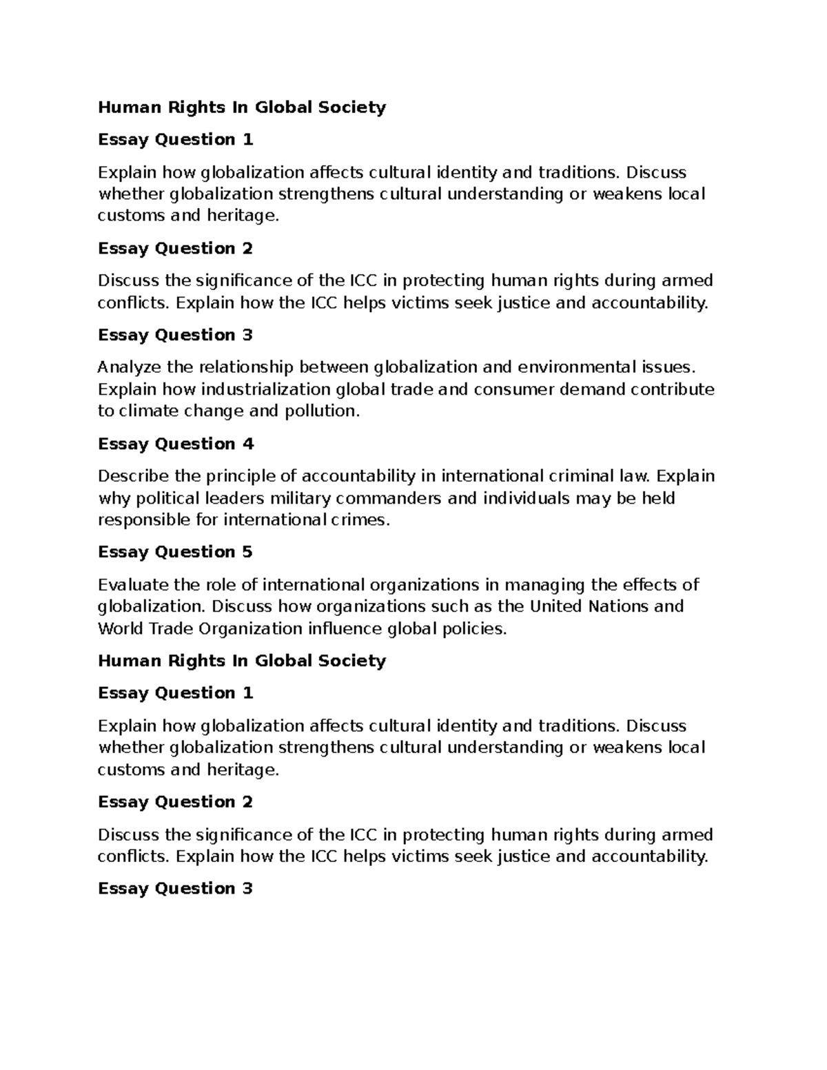 Human Rights in Global Society: Essay Questions & Analysis - Studocu