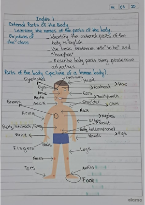 Body cavity - ...... - English Read the webside orticle and do these ...