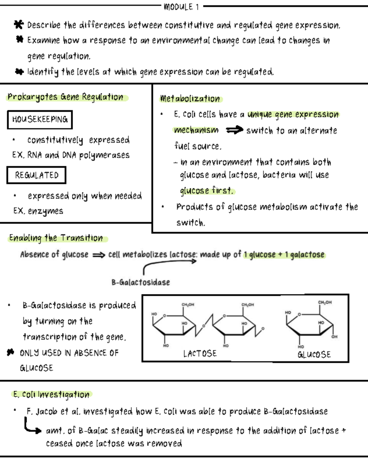 Gene Expression Regulation in Prokaryotes - Theme 3 M1&2 Notes - Studocu