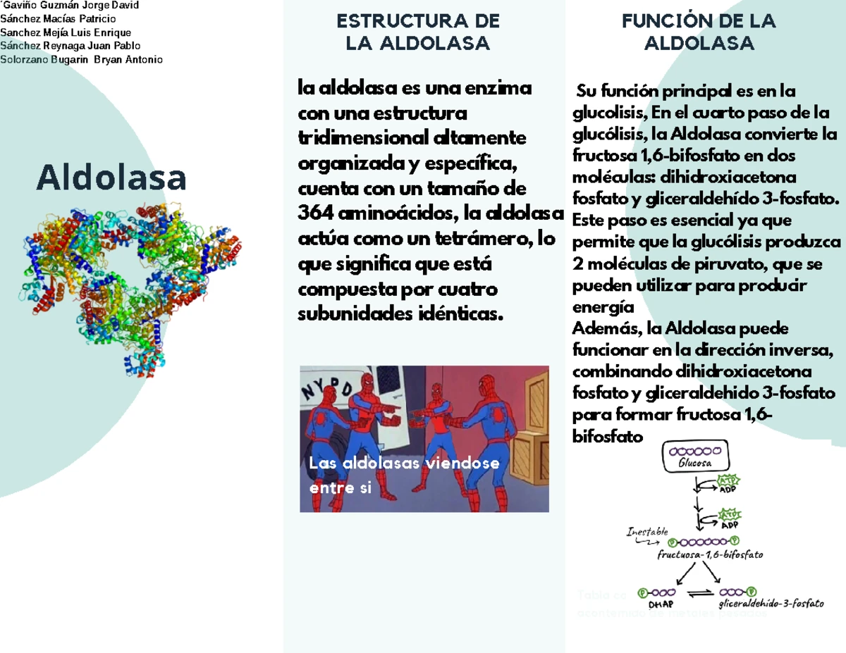 Práctica 6: Curvas de Titulación de Aminoácidos y Análisis de pK - Studocu