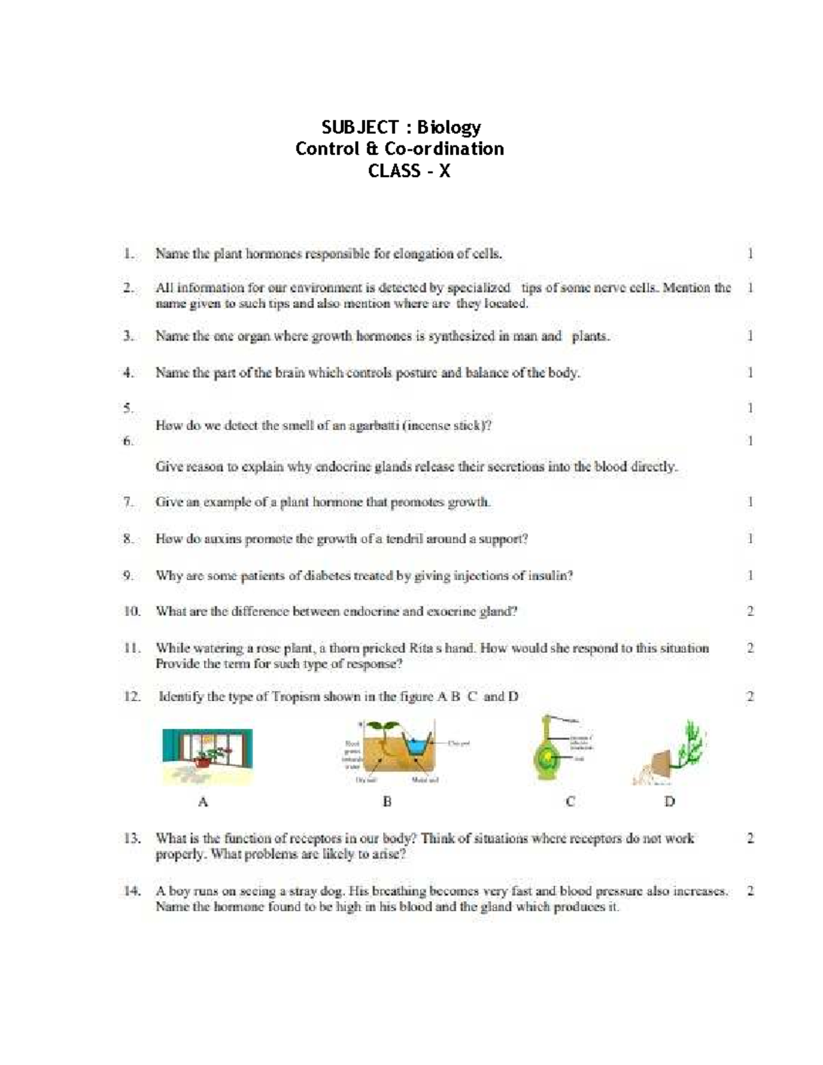 Biology Control & Coordination Rev Worksheet - Class X - Studocu