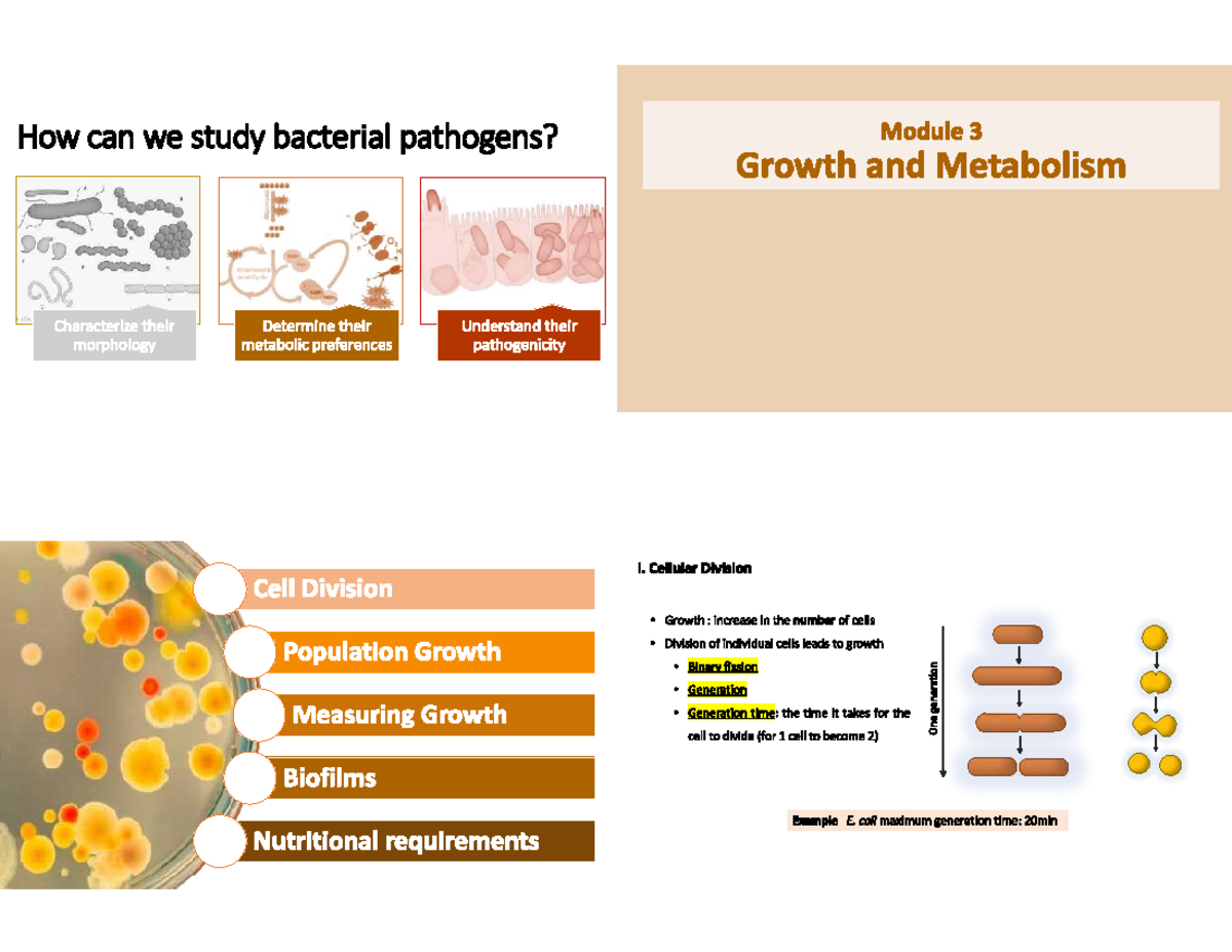 BIOL312_M3_Growth: Mechanisms of Bacterial Growth & Metabolism - Studocu