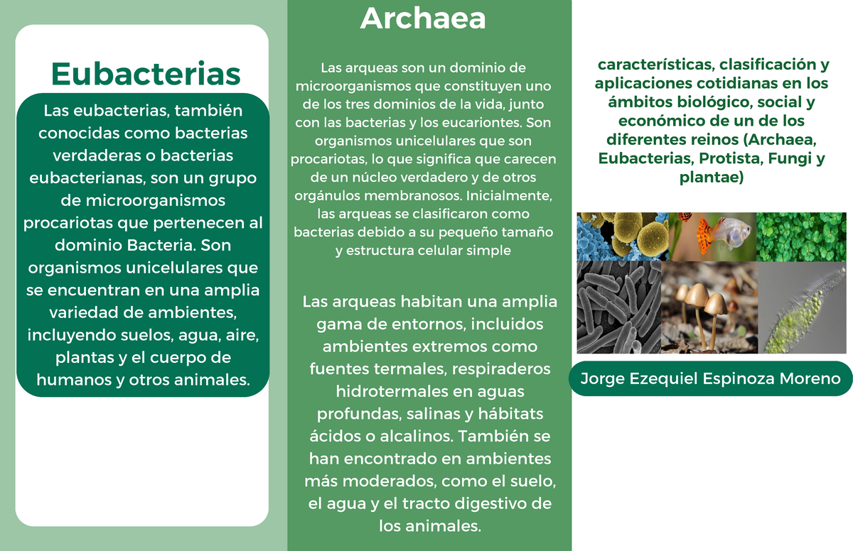 Folleto de Biología: Características de los Reinos (Archaea, Bacteria,  Protista) - Studocu