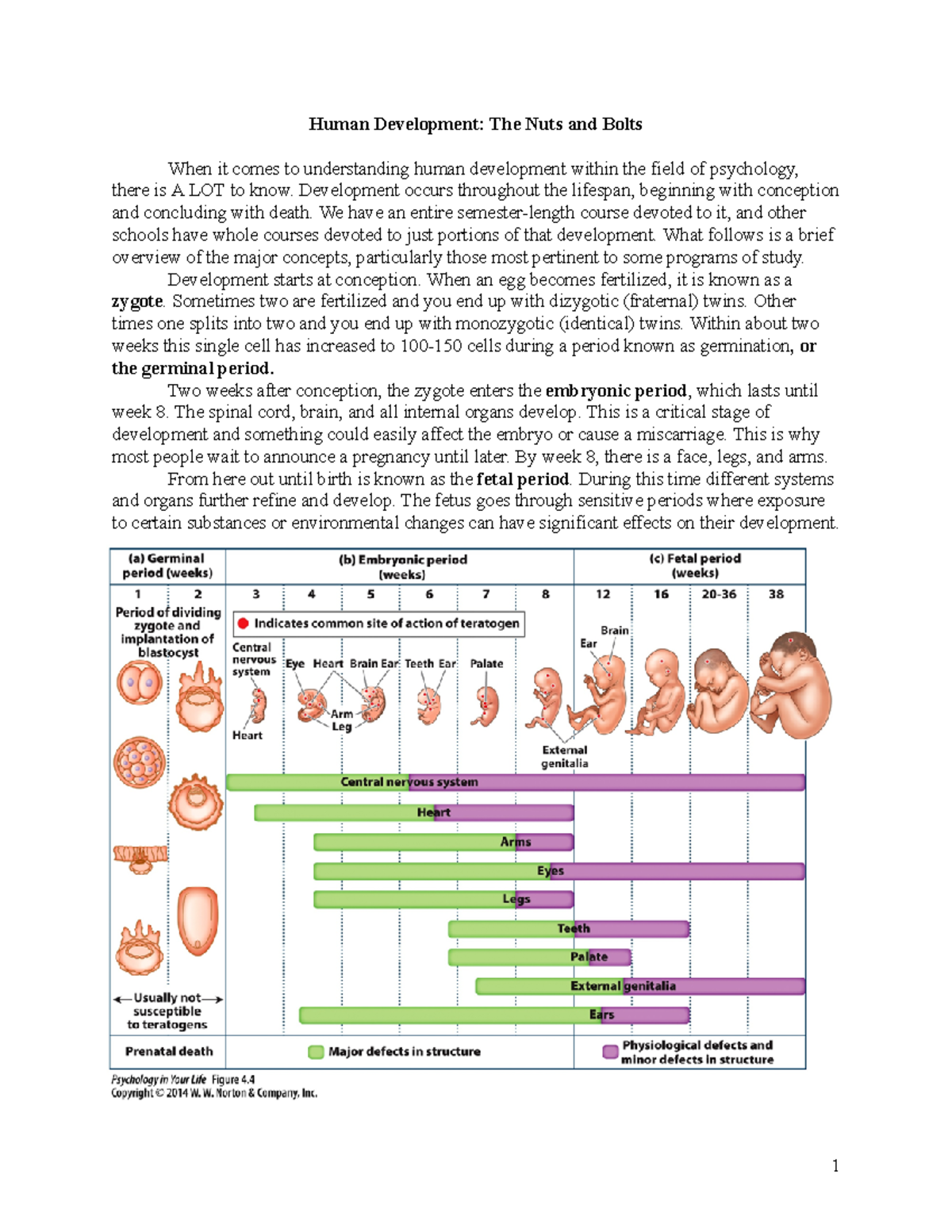 Human Development in Psychology: Key Concepts and Theories (IntroPsych ...
