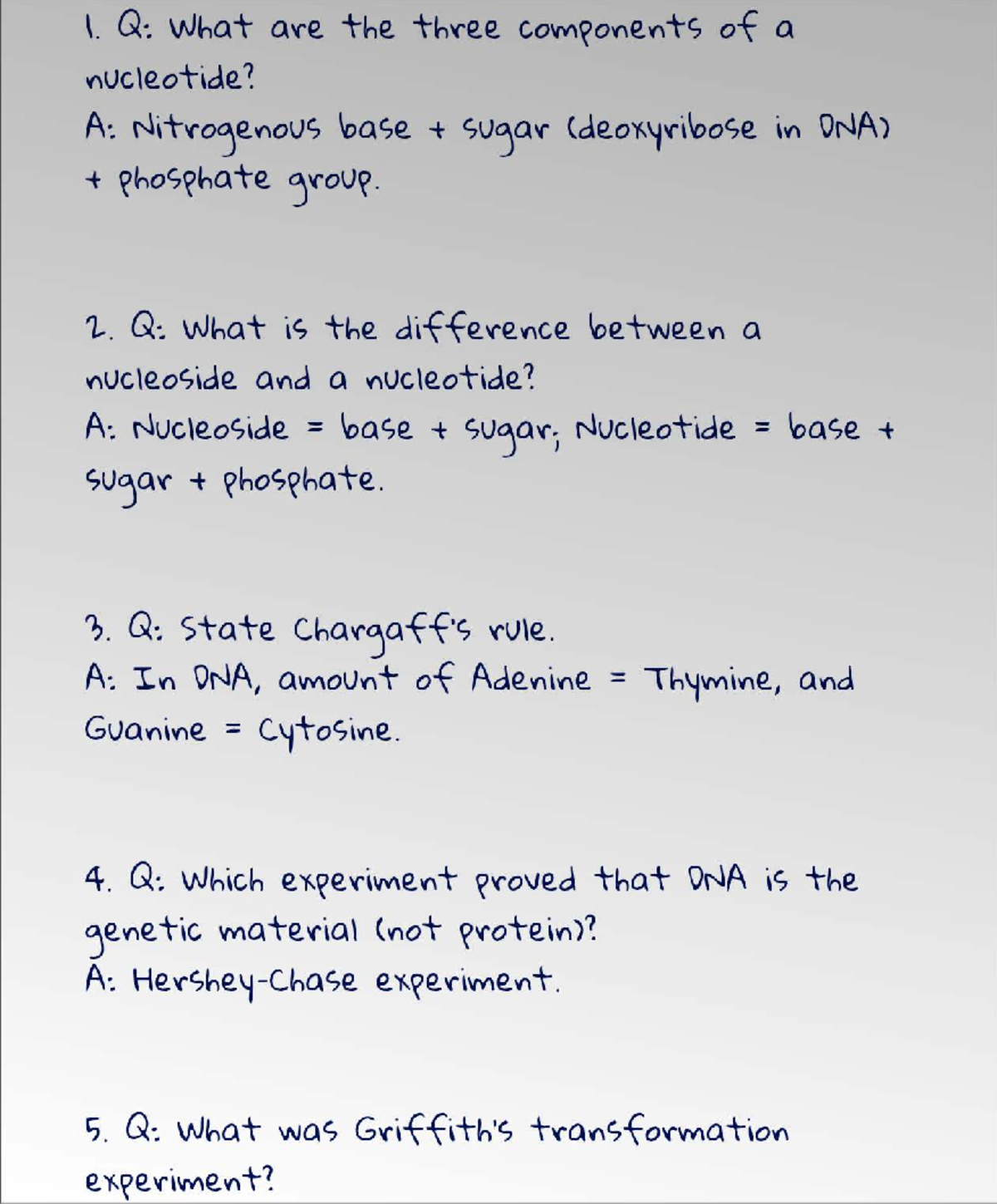 Biology Notes: Key Concepts in DNA Structure & Function (BIO101) - Studocu