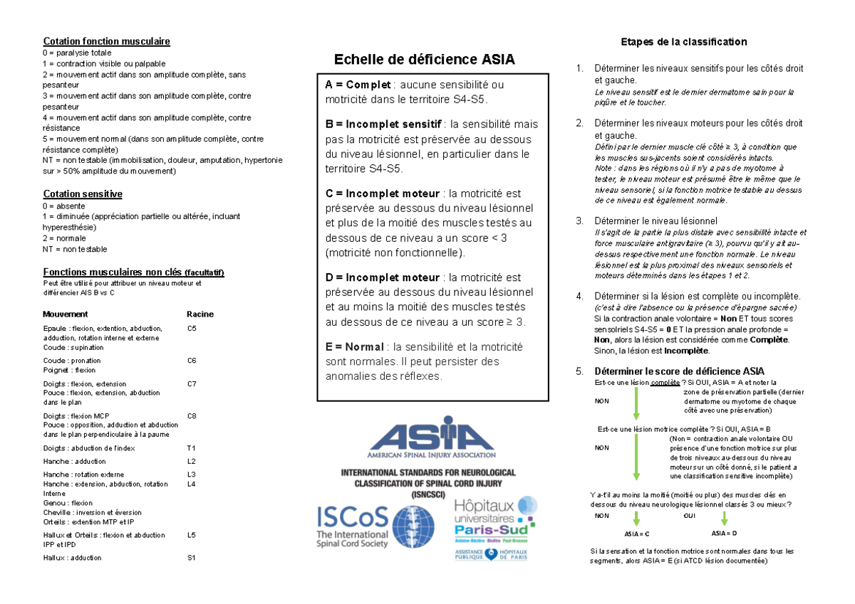 ASIA-ISNCSCI Final Exam Notes en Français - Studocu