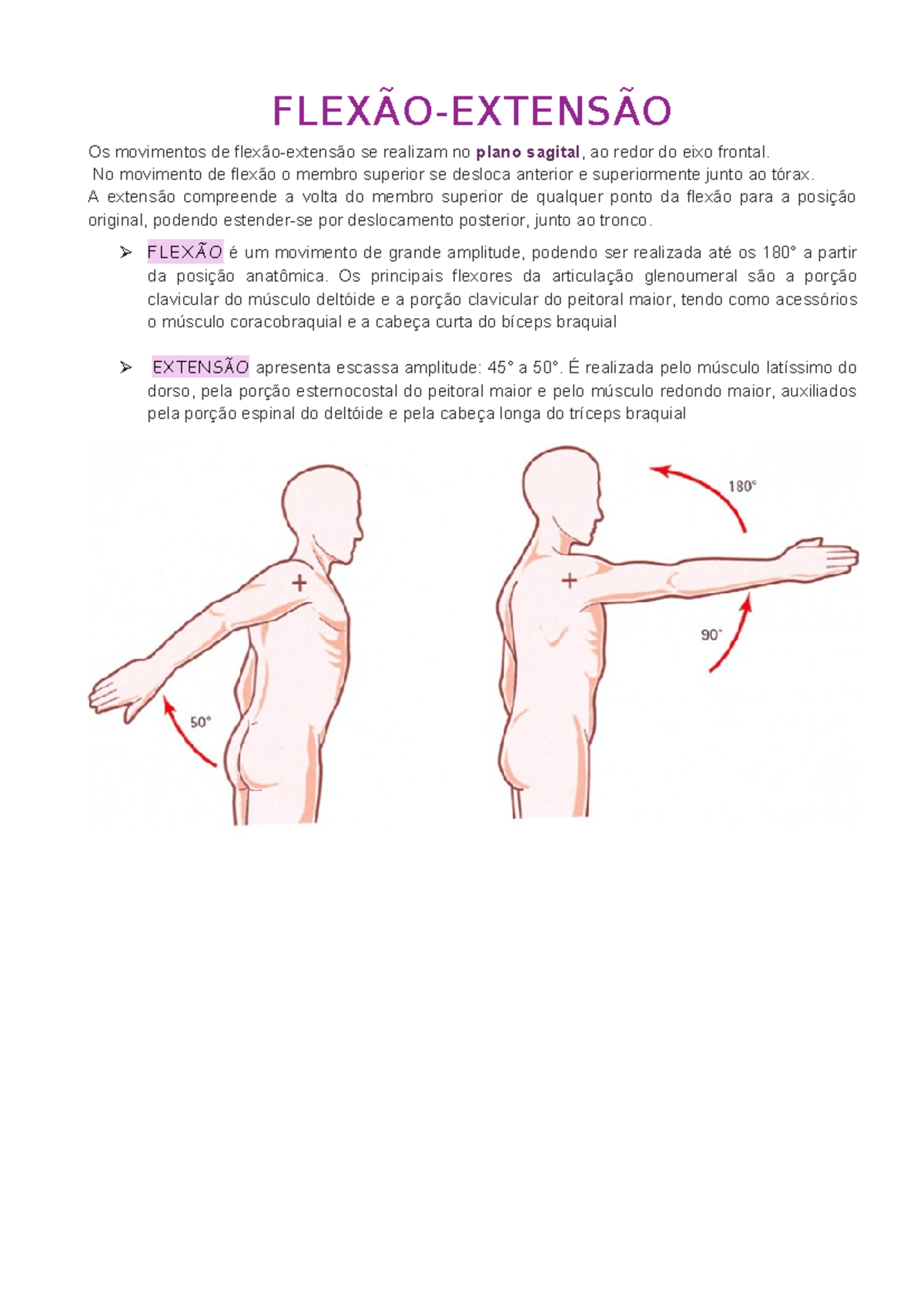 Movimentos do Ombro: Flexão, Extensão, Adução e Rotação - Studocu