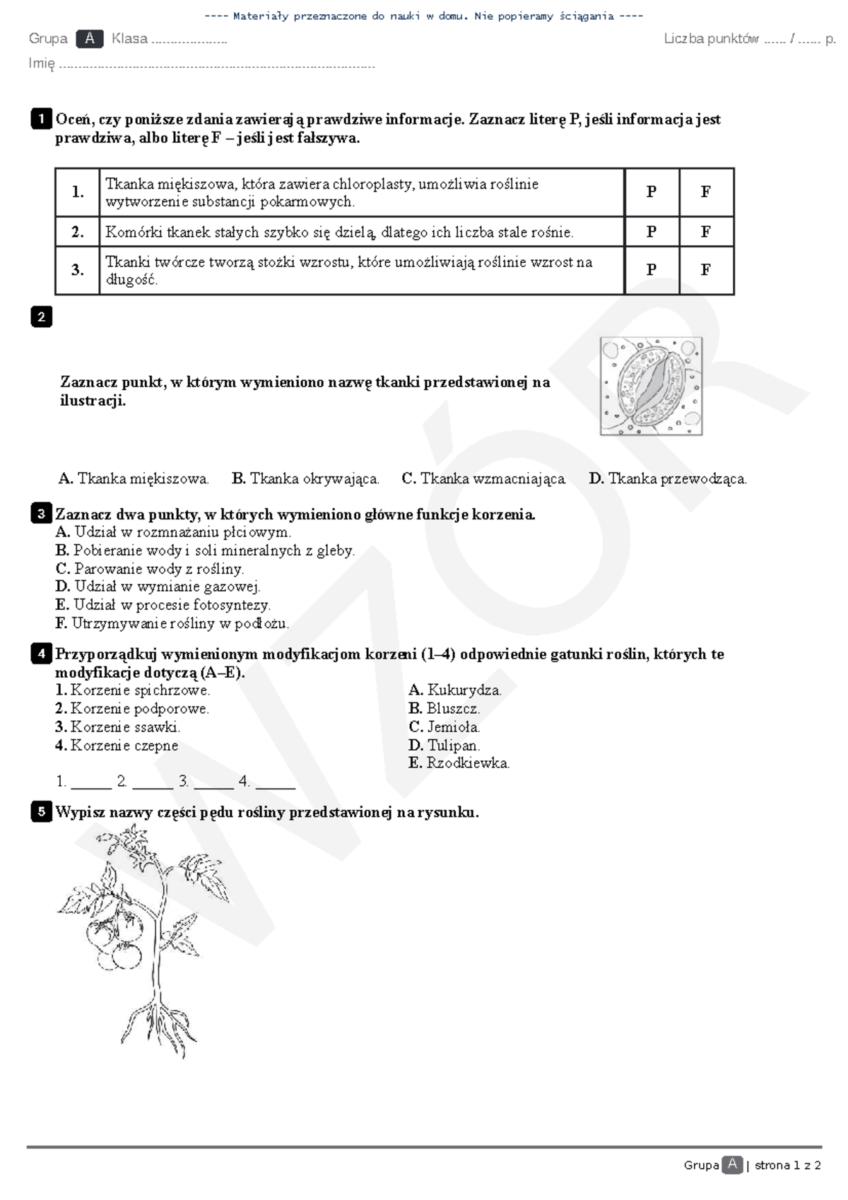 Sprawdzian Puls Zycia Gimnazuj 2 Dzial 3 www.studocu.com