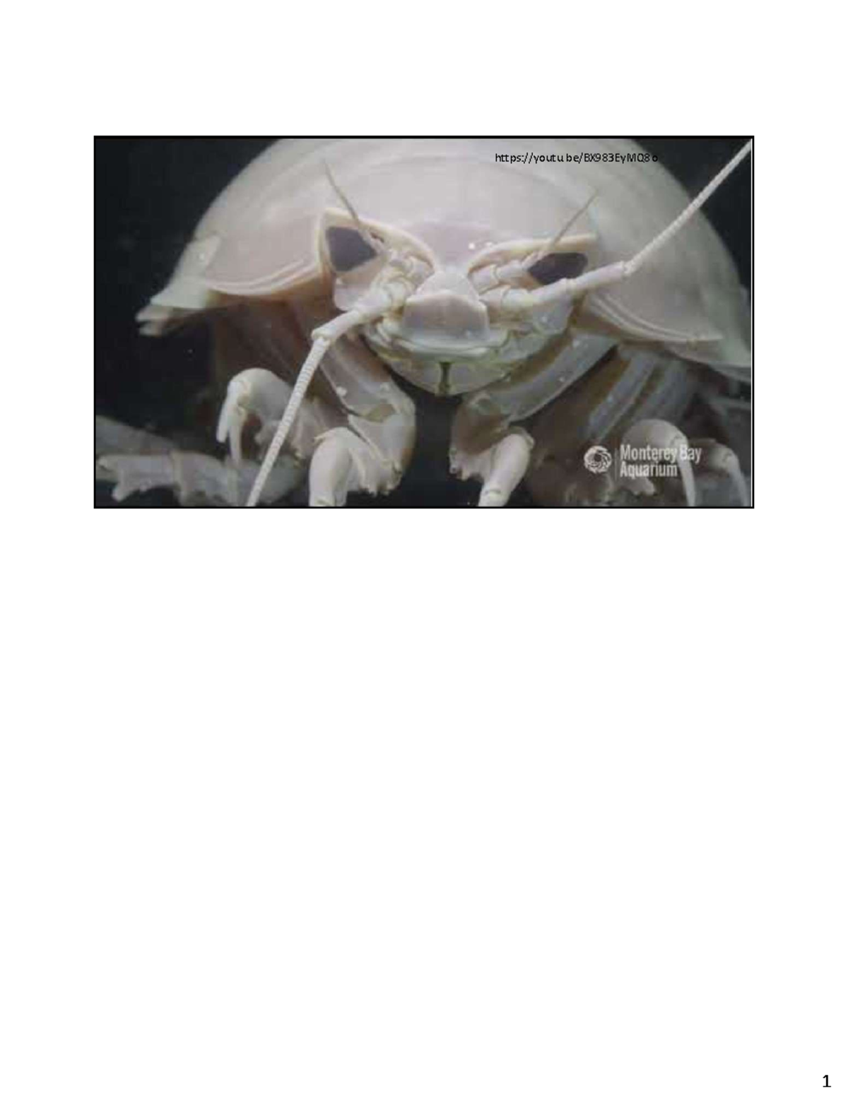Lab 7 & 8 Prelab Notes: Ecdysozoa & Panarthropods Overview - Studocu
