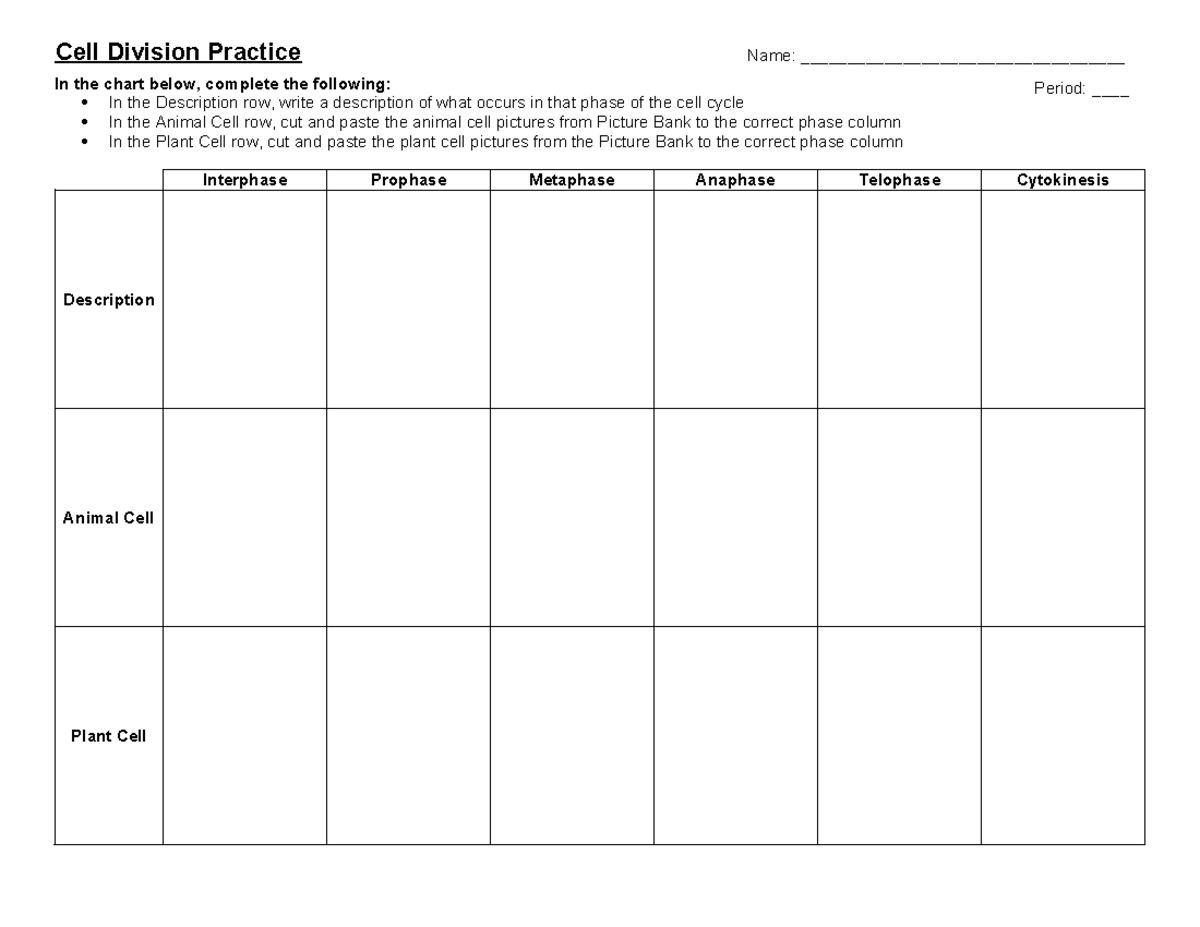 Cell Division Practice WS - In the chart below, complete the following ...