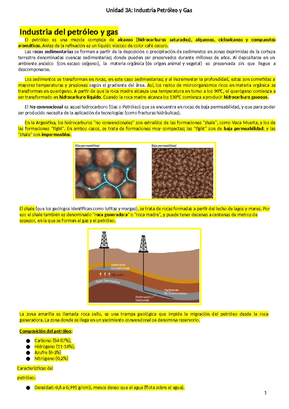 03a. Introducción a la Industria del Petróleo y Gas en Argentina - Document Preview