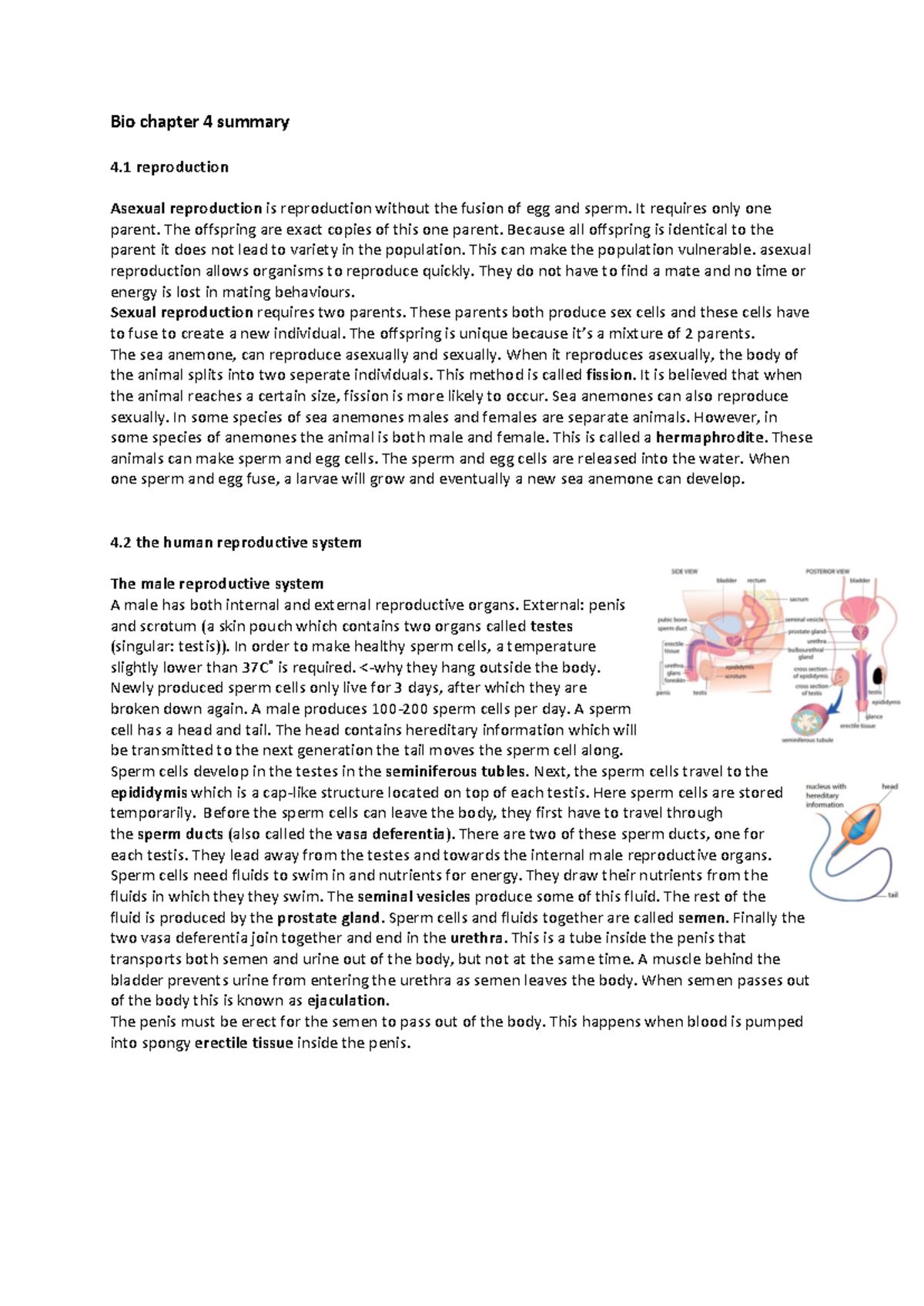 Bio 4 Summary: Asexual & Sexual Reproduction Overview - Studeersnel