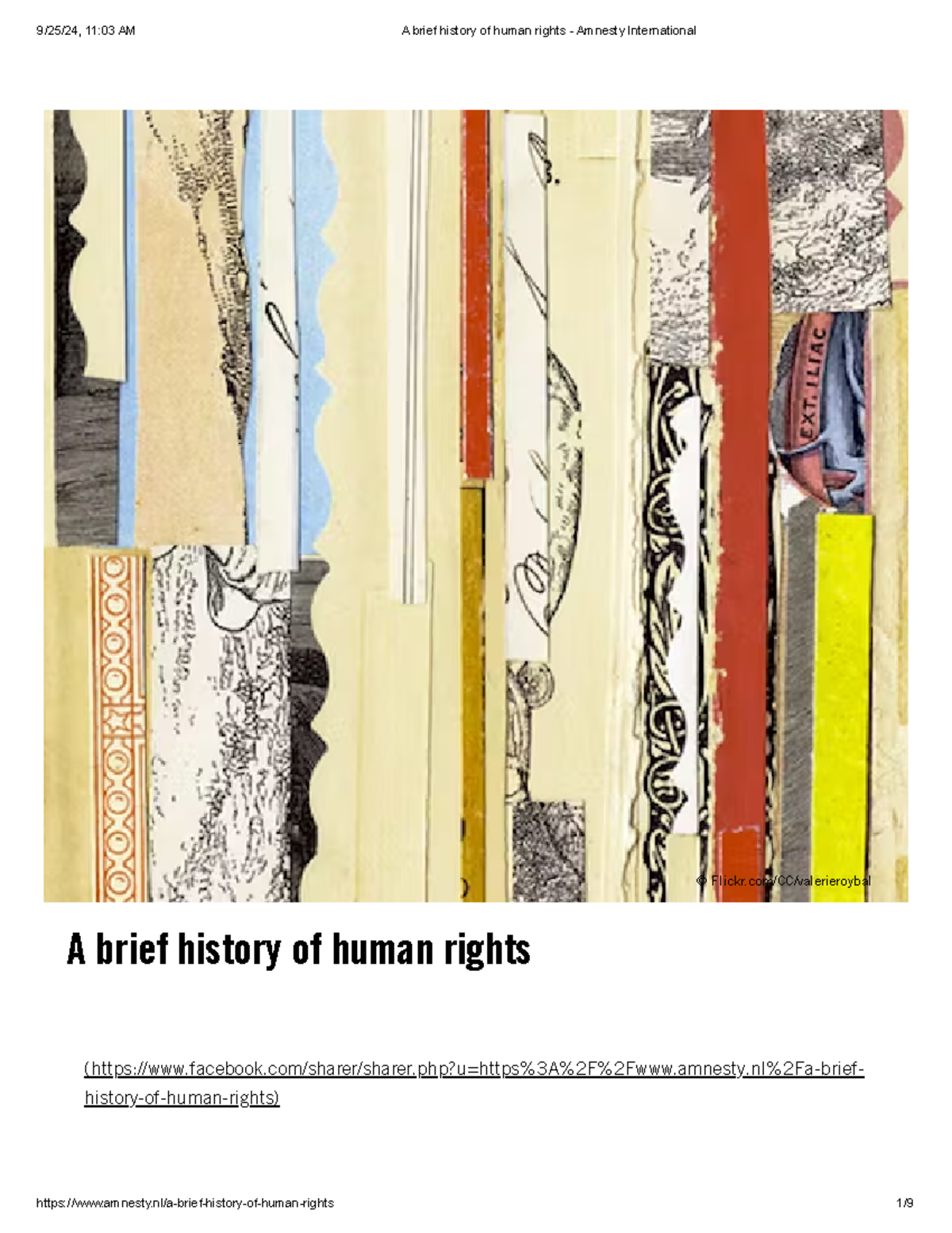 History of Human Rights: Key Milestones and Philosophical Insights ...