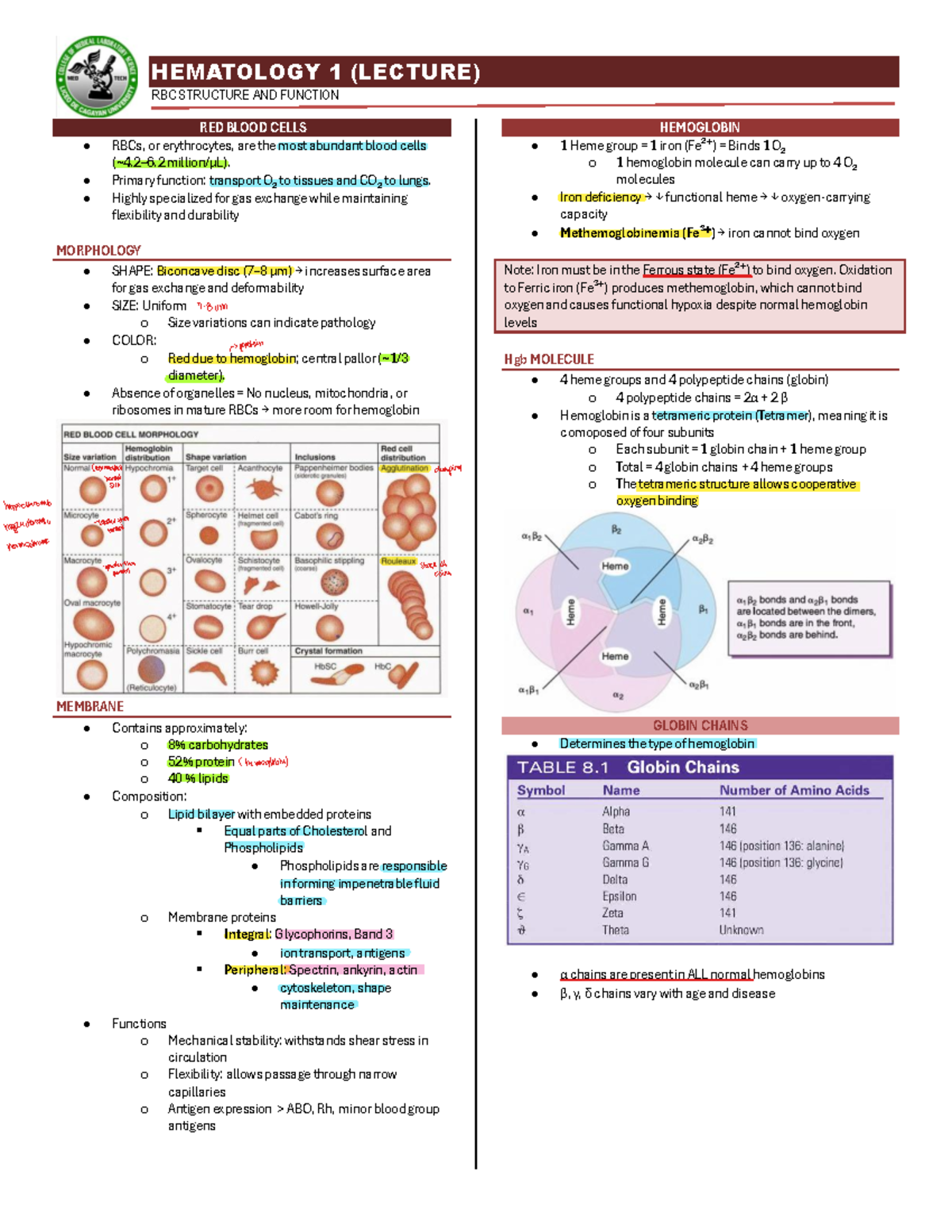 HEMATOLOGY 1 (LECTURE) RBC STRUCTURE, FUNCTION & DISORDERS - Studocu