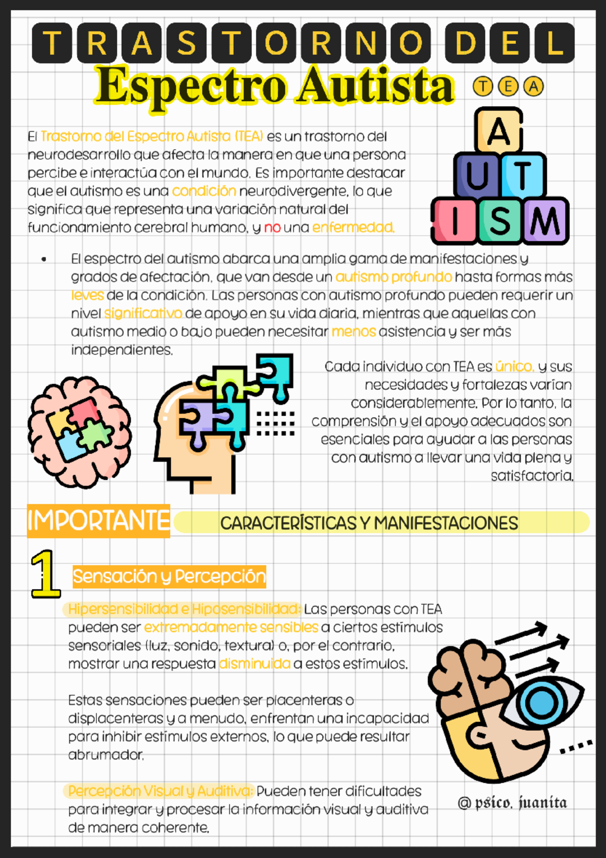 Trastorno del Espectro Autista (TEA): Características y Manifestaciones ...