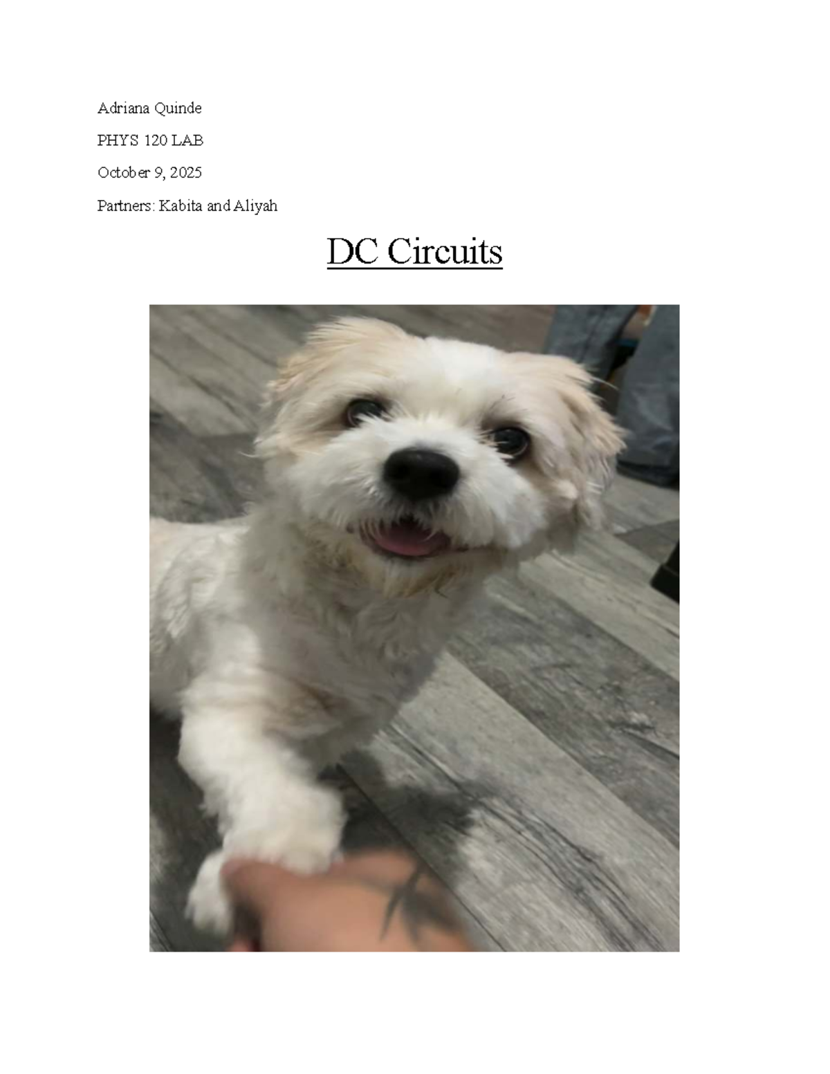 Dc Circuits Lab Report Phys 120 Oct 9 2025 Studocu