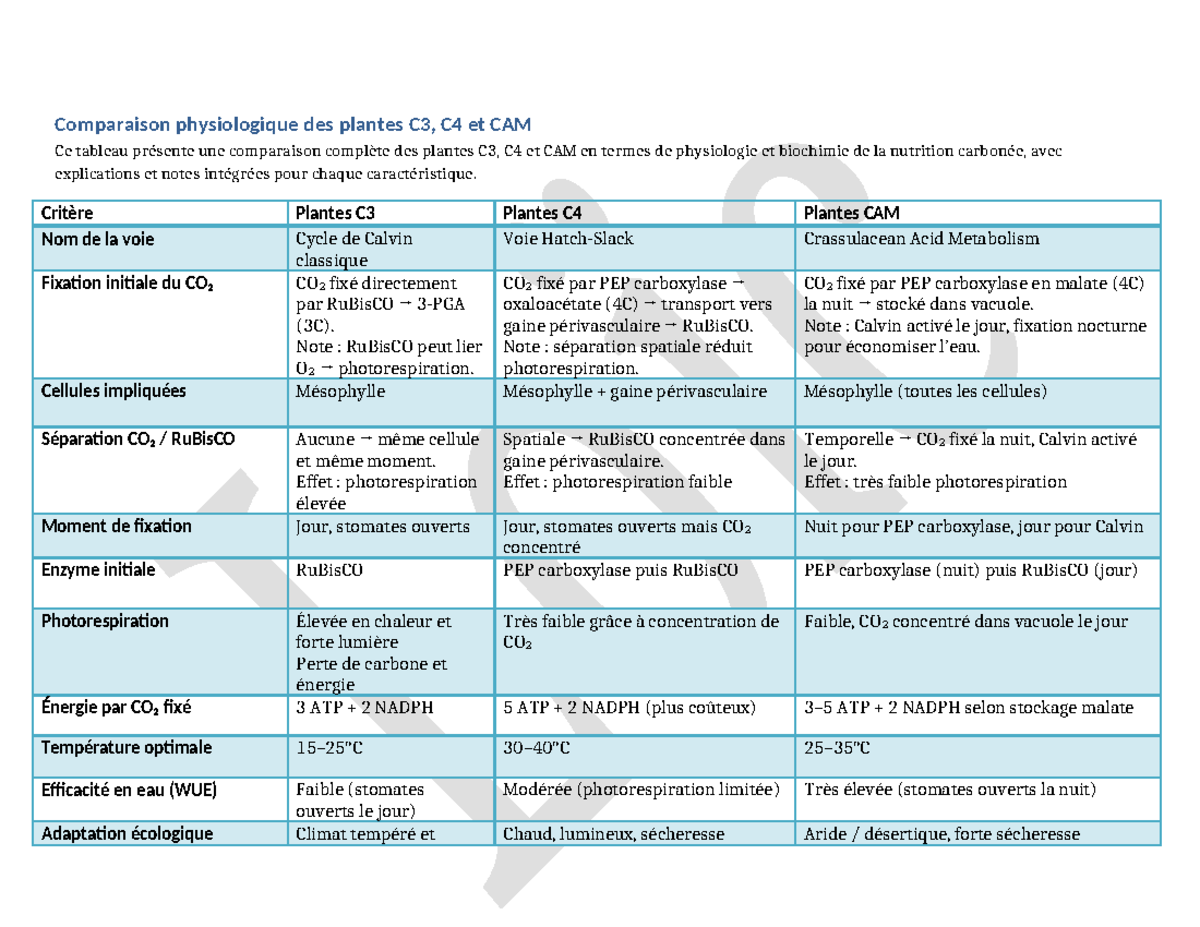 comparaison-c3-c4-et-cam-m-tabolisme-des-plantes-studocu