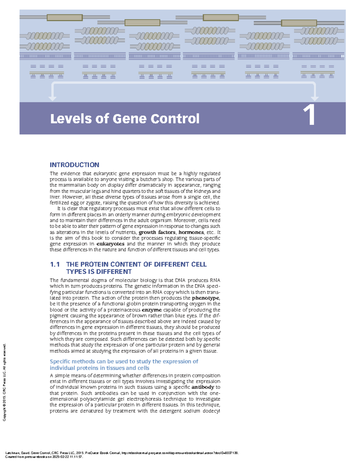 Gene Control Mechanisms in Eukaryotes: An Overview (BIO 101 ...