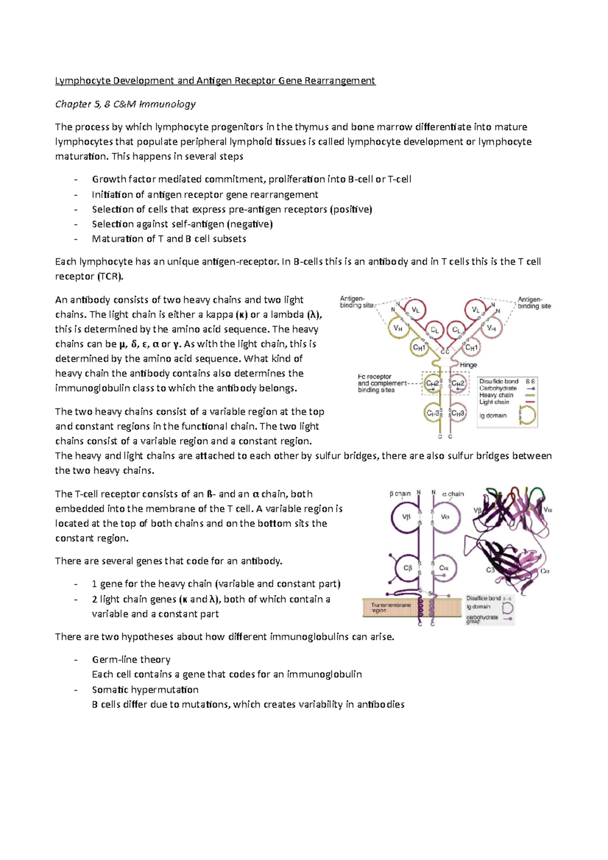 Lymphocyte Development & Antigen Receptor Gene Rearrangement - C&M ...