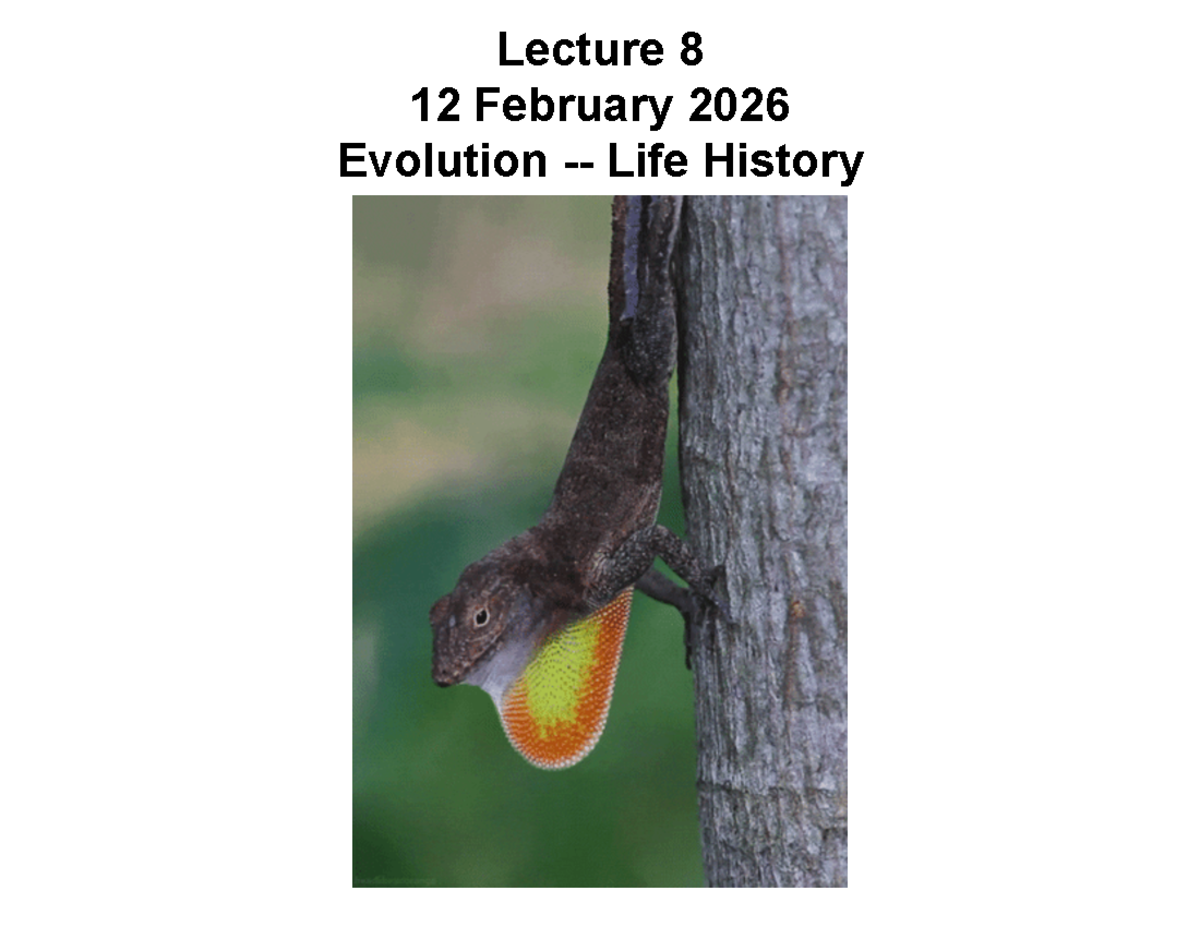 Lecture 8: Evolution - Life History - Studocu