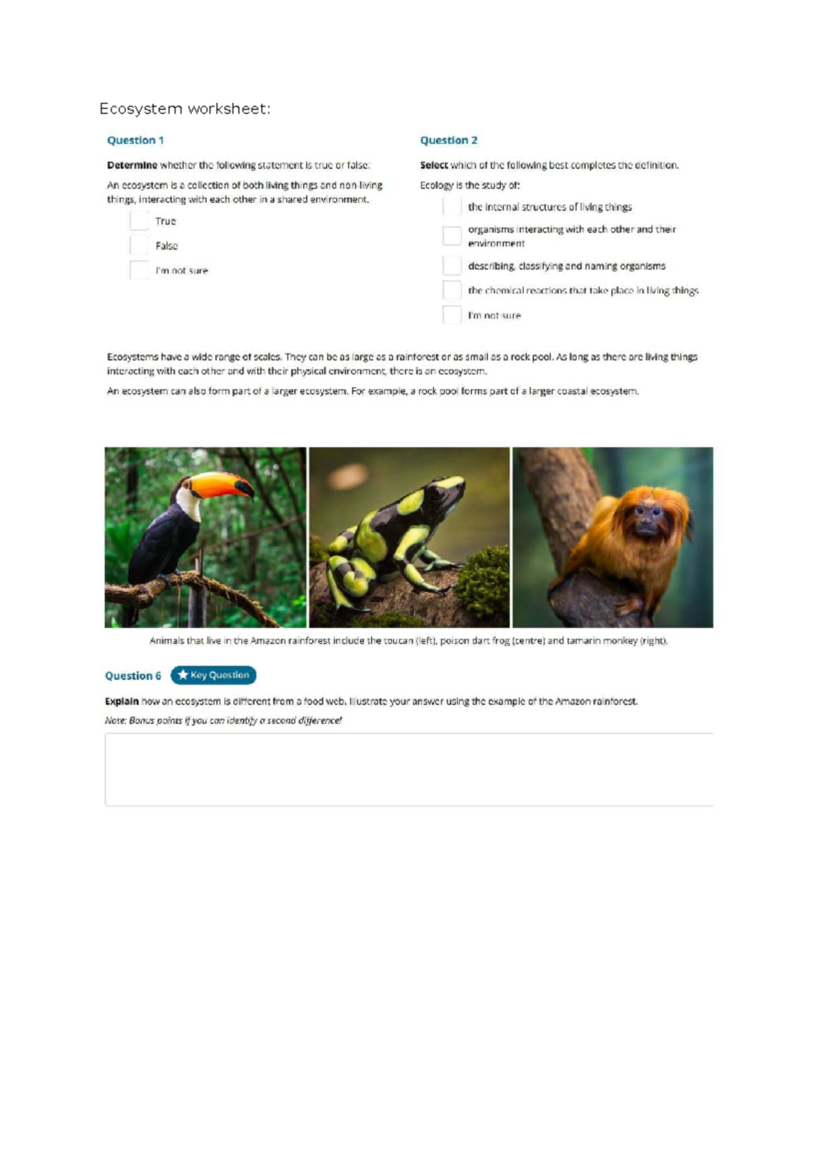 Ecosystem Worksheet: Key Questions and Classifications - Studocu