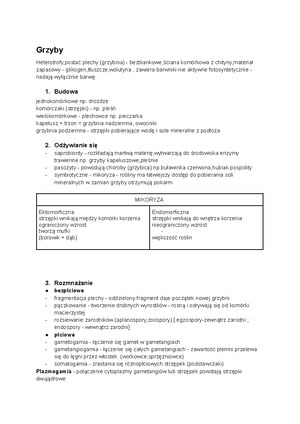 High Note 4 AK Unit Tests B - Unit Tests | Answer Key GROUP B UNIT TEST ...