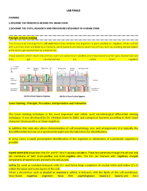 Solved Enzymes Speed Up Chemical Reactions Allowing Them To Happen Introductory Microbiology