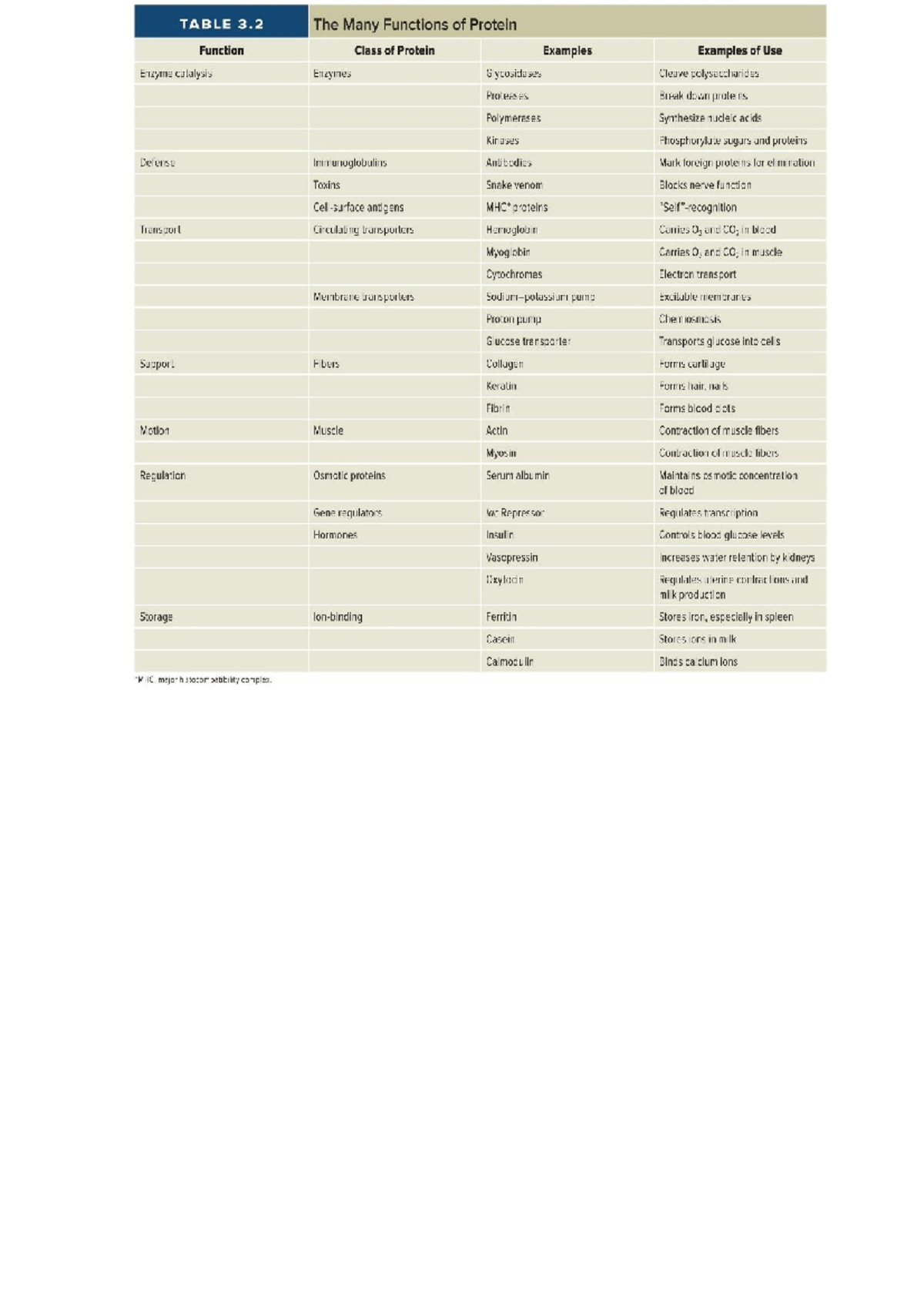 Midterm Exam Study Guide - Course Code: [Insert Course Code Here ...