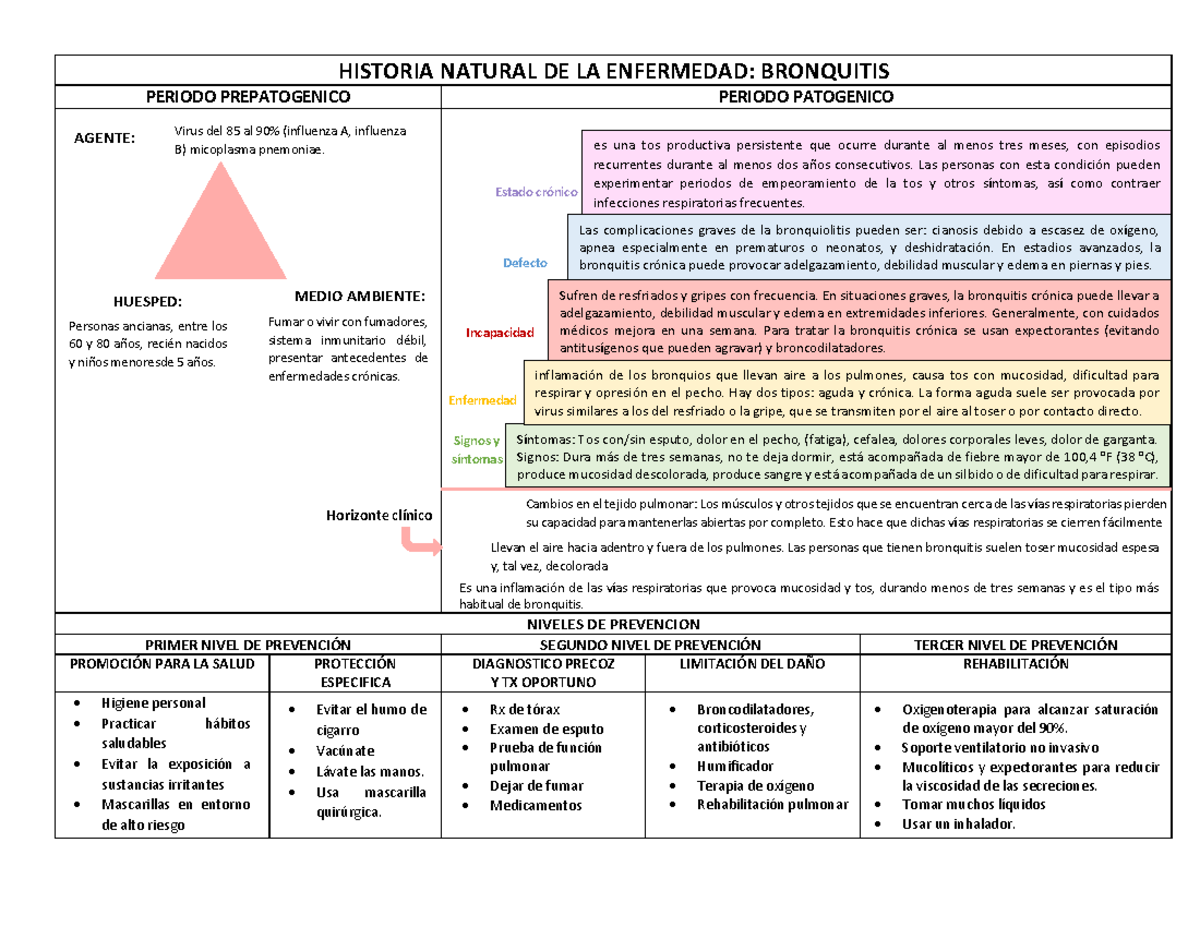 Historia Natural de la Enfermedad: Bronquitis y Prevención (Médico