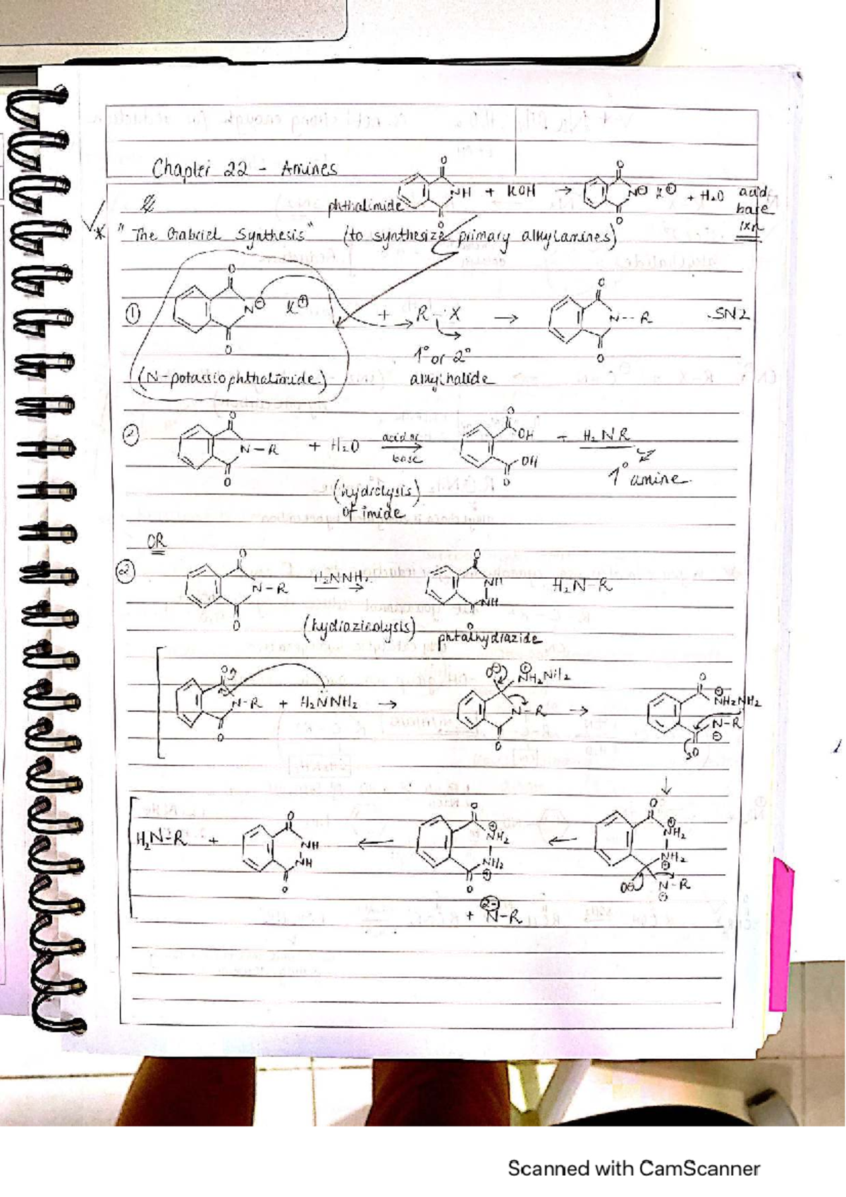 Chapter 22 Notes: Amines and Their Reactions in Organic Chemistry 1 ...