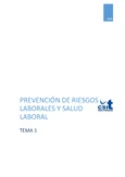Tema 1: Prevención de Riesgos Laborales y Salud - Auxiliar de Servicios (CSIT)
